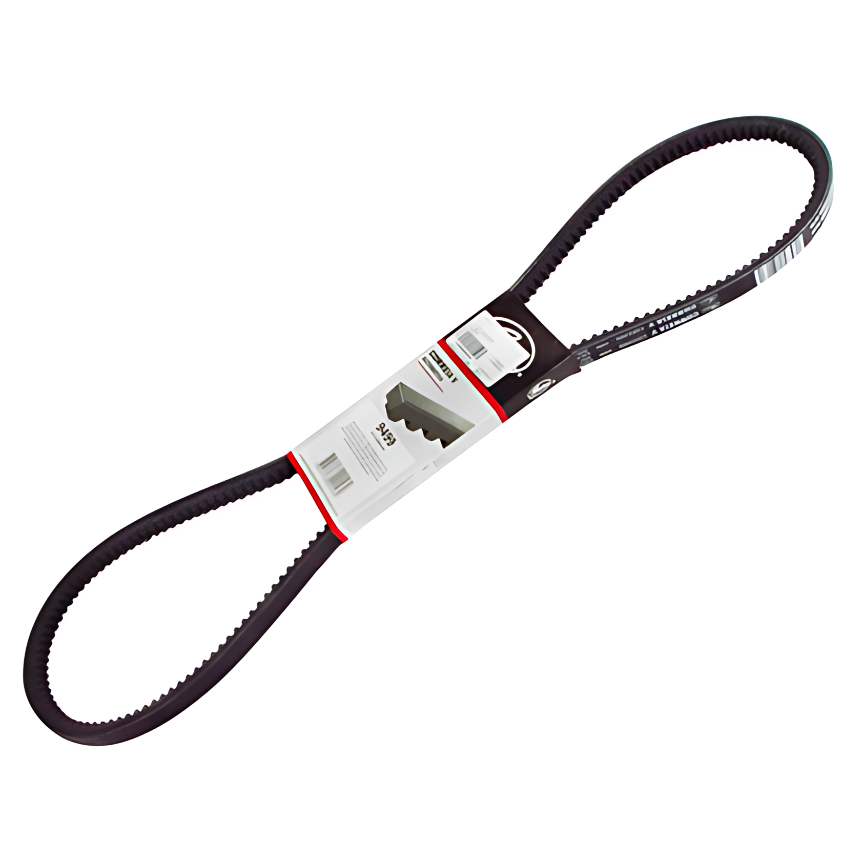 CORREIA V - T13145107