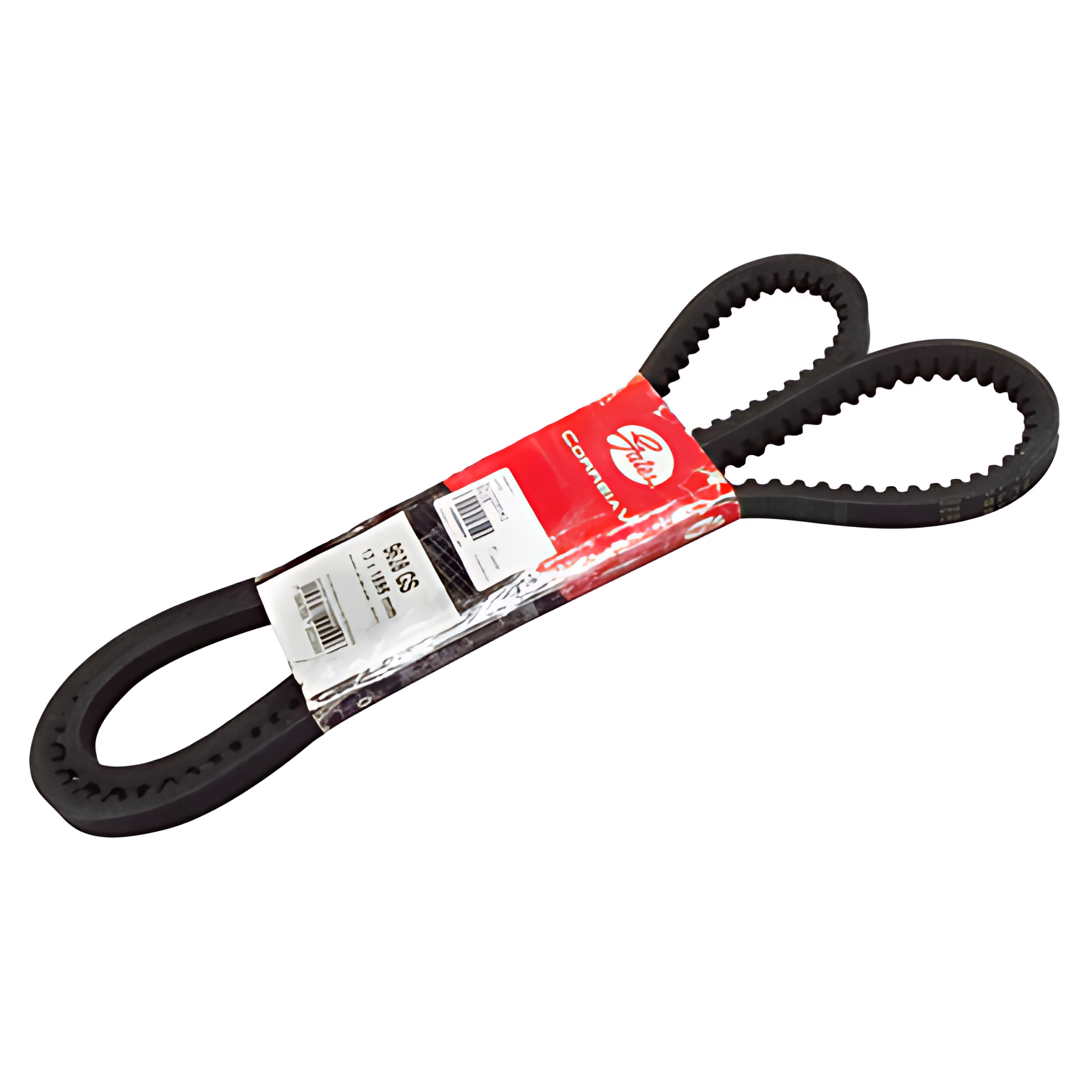 CORREIA V - 3412285M2