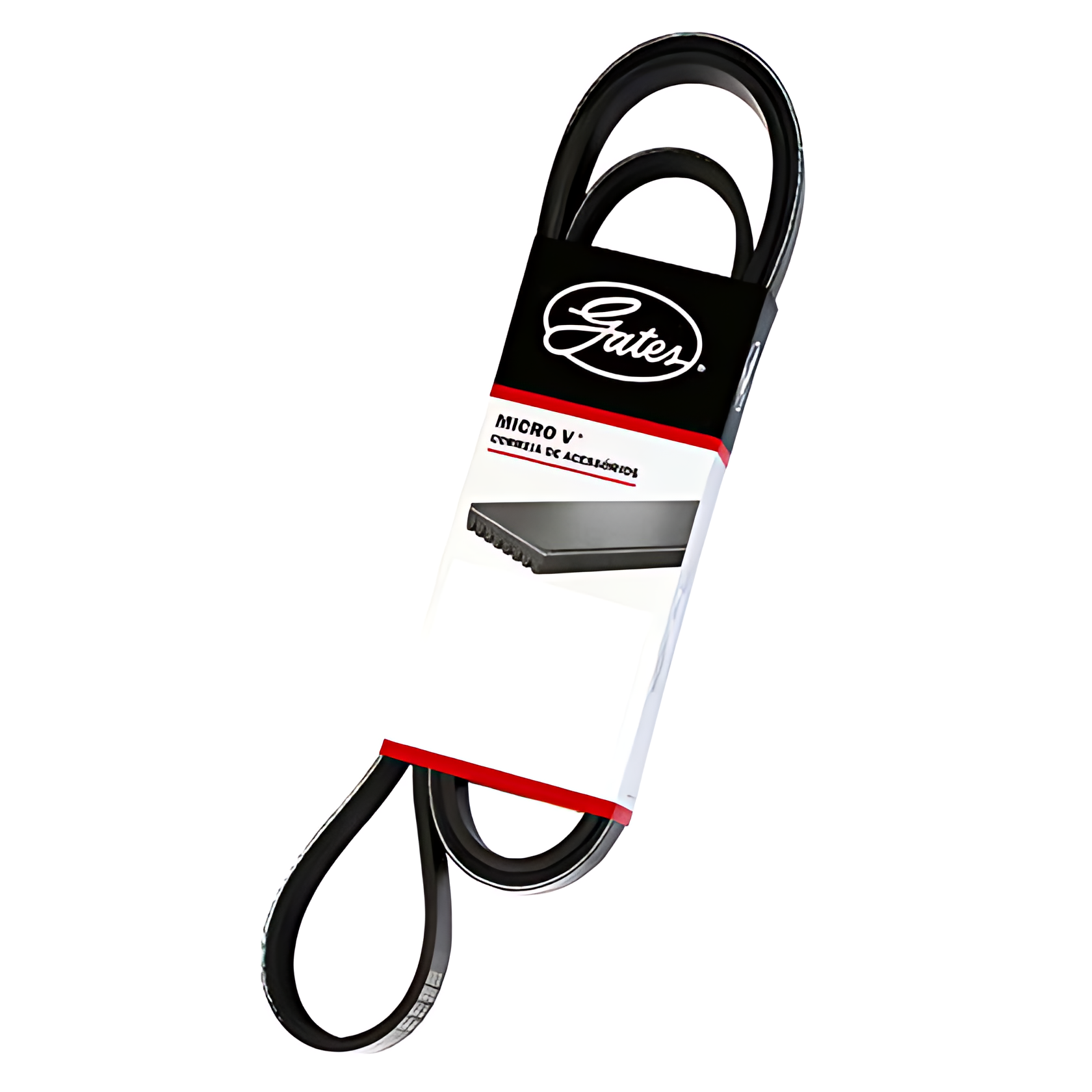 CORREIA MICRO V - 8PK1550