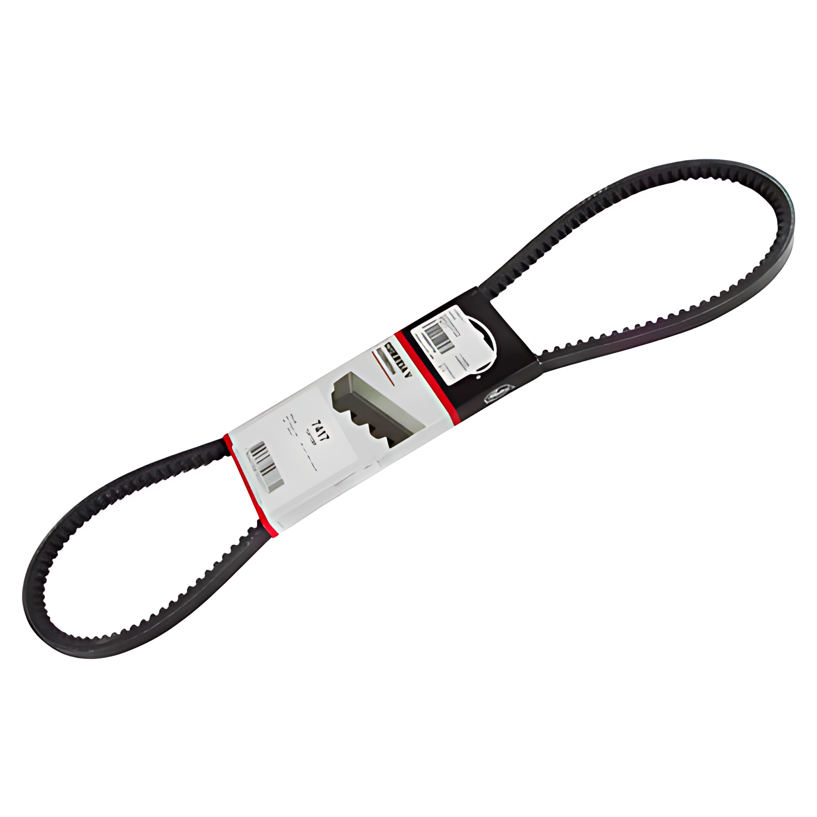 CORREIA V - 52275722