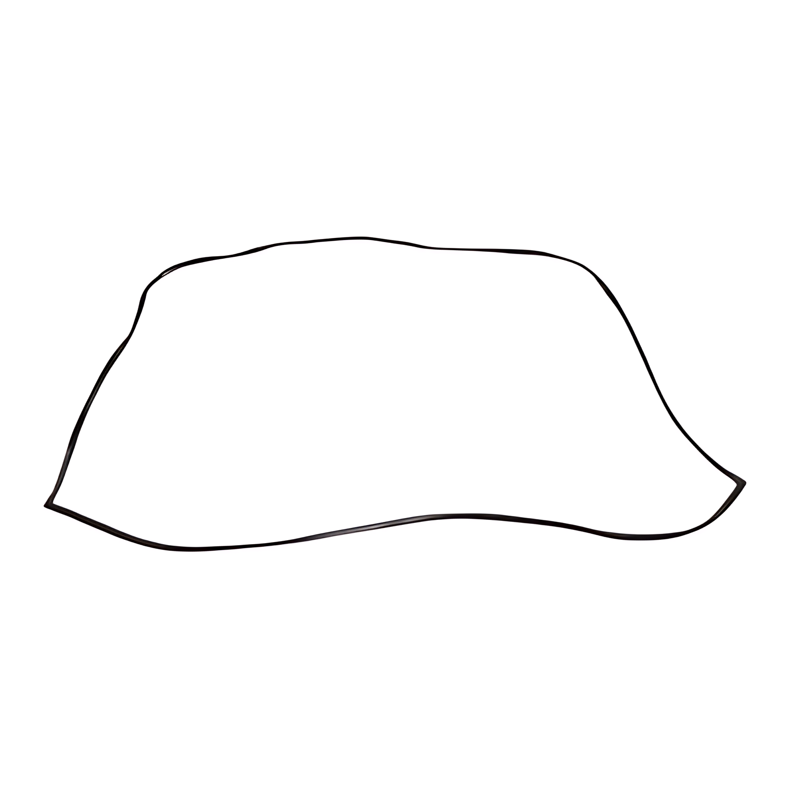 BORRACHA PARABRISA - 9736710120