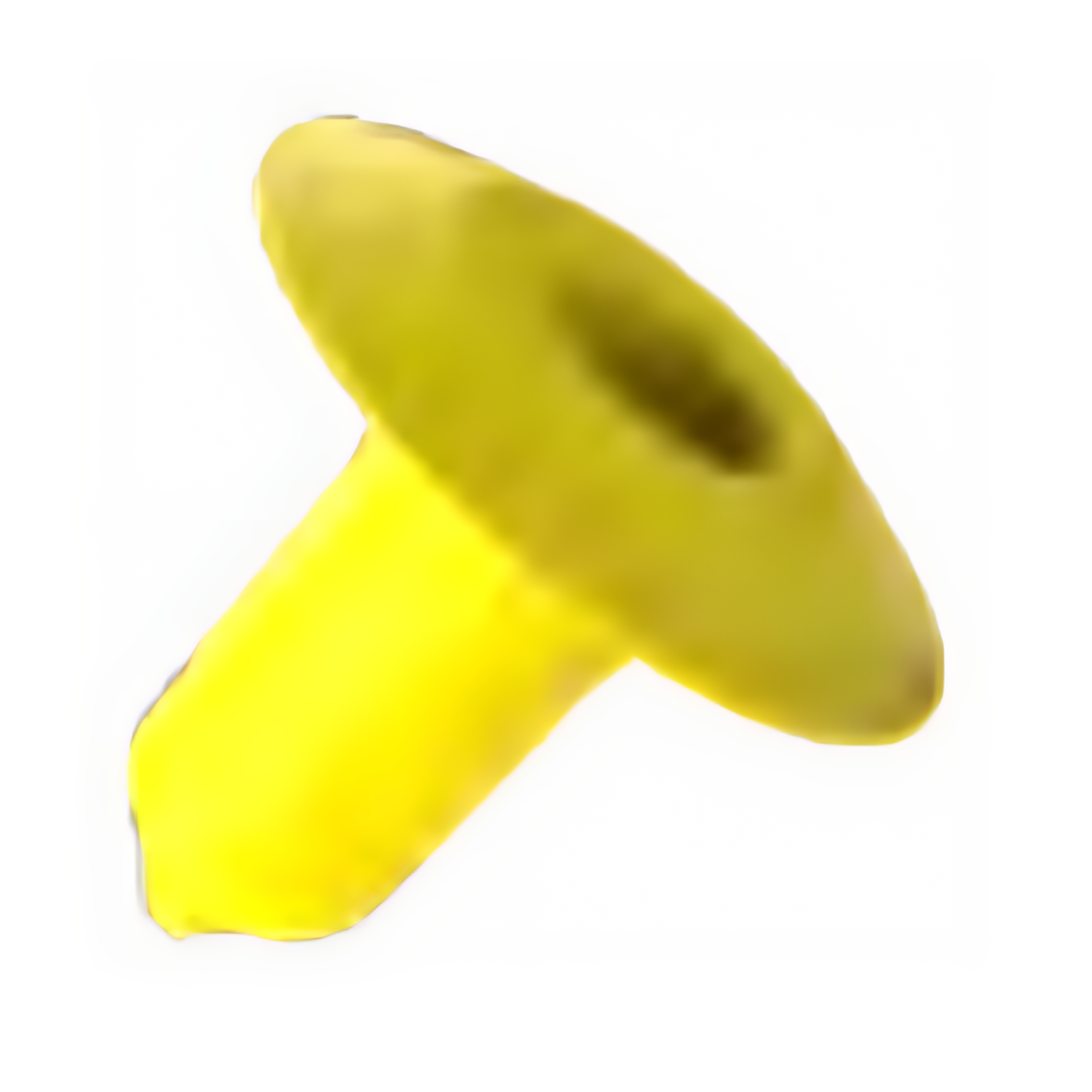 BUCHA MOLDURA LATERAL PORTA DIANTEIRA IVECO - P255