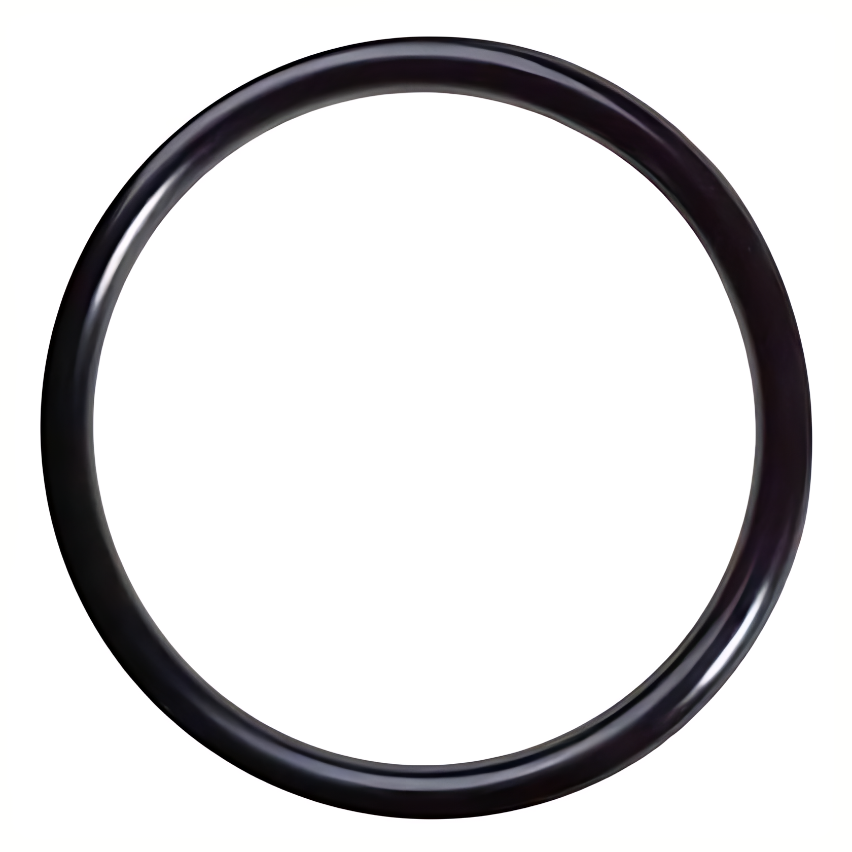 ANEL VEDACAO OIRING - VDA0005A0190