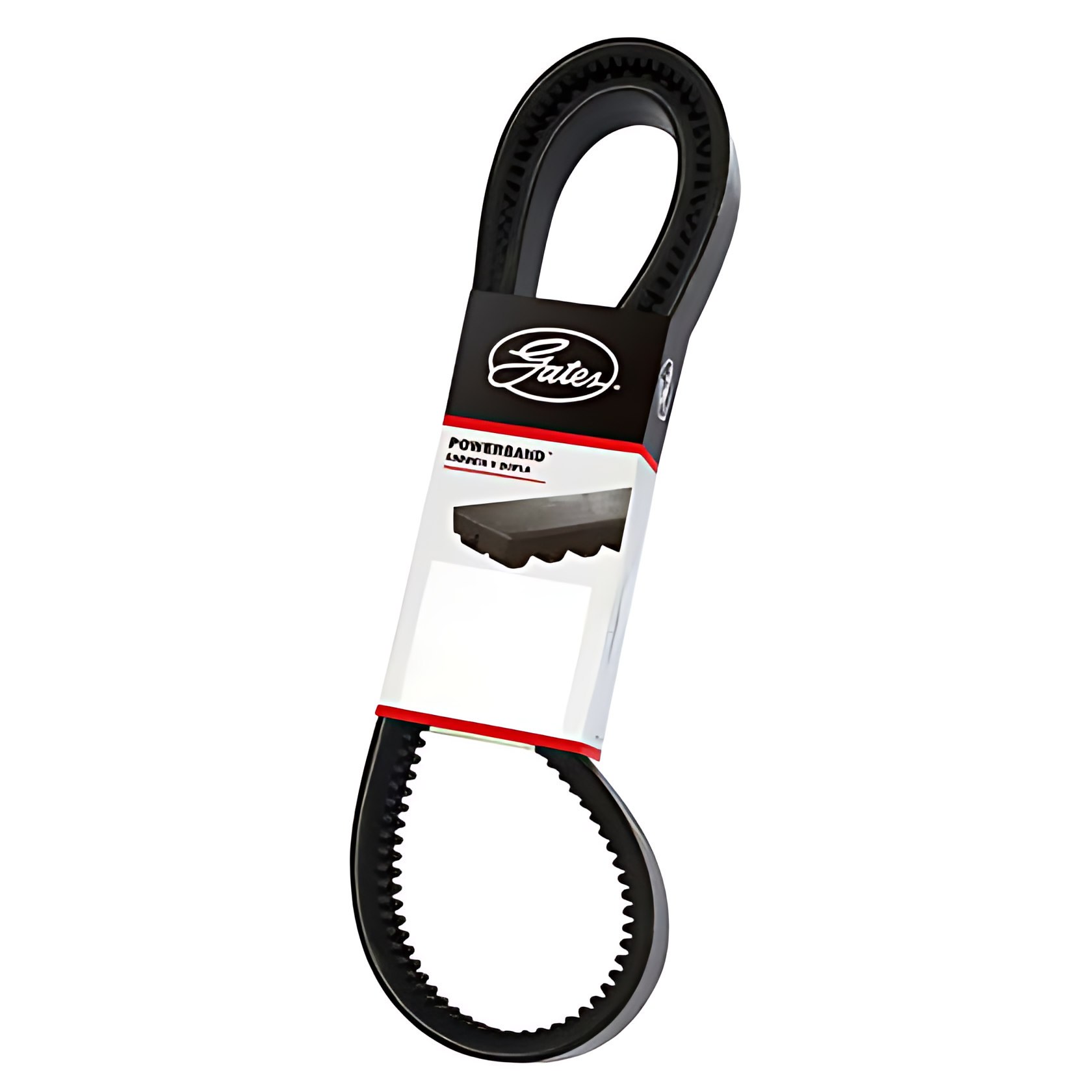 CORREIA DUPLA - 2BXS94AC