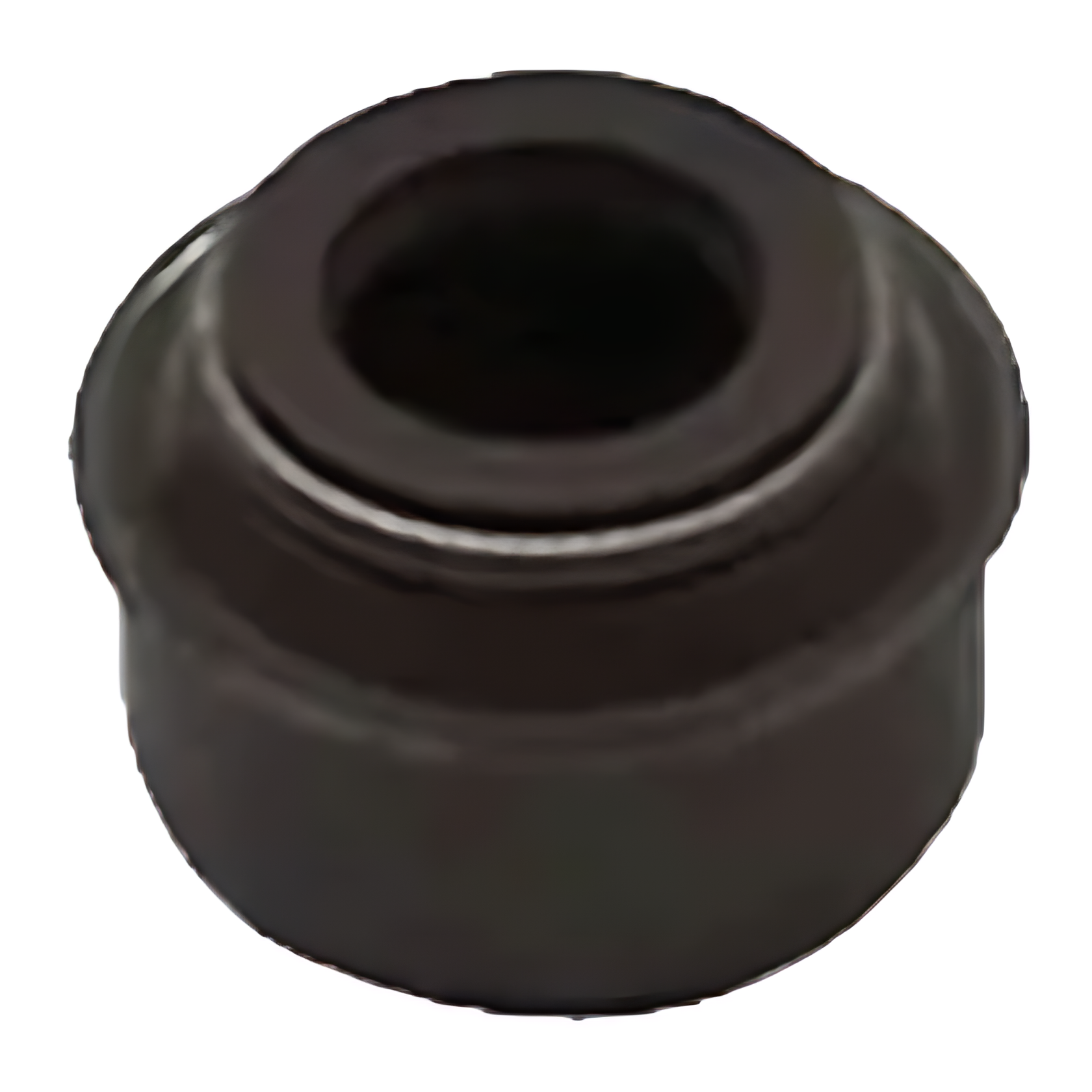 RETENTOR HASTE VALVULA MWM SPRINT 4CIL. - 600866