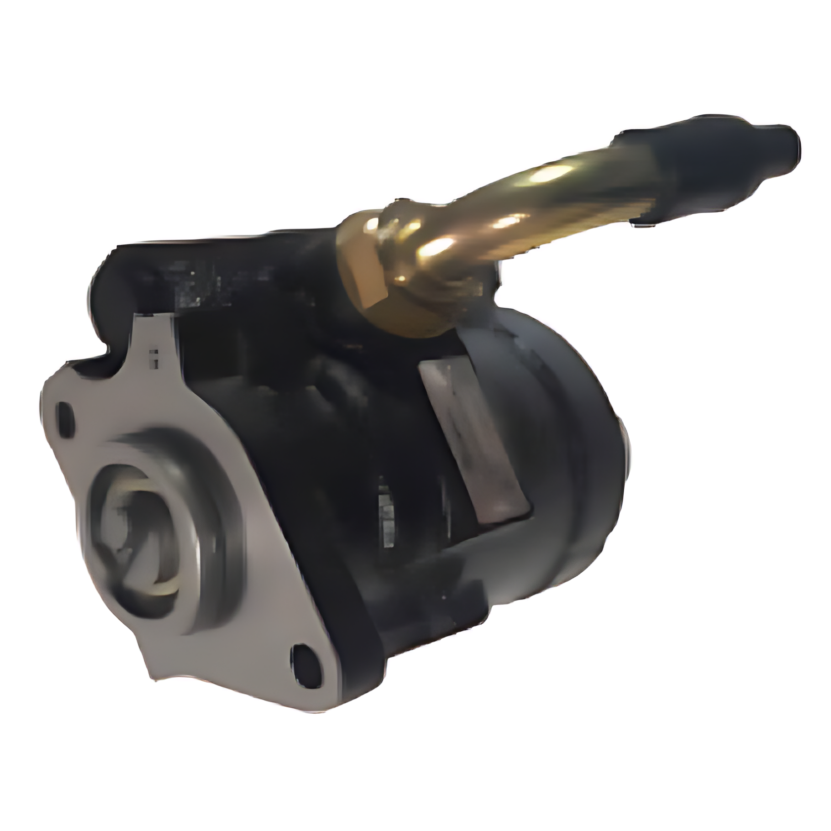 BOMBA DIRECAO HIDRAULICA - 100000324846