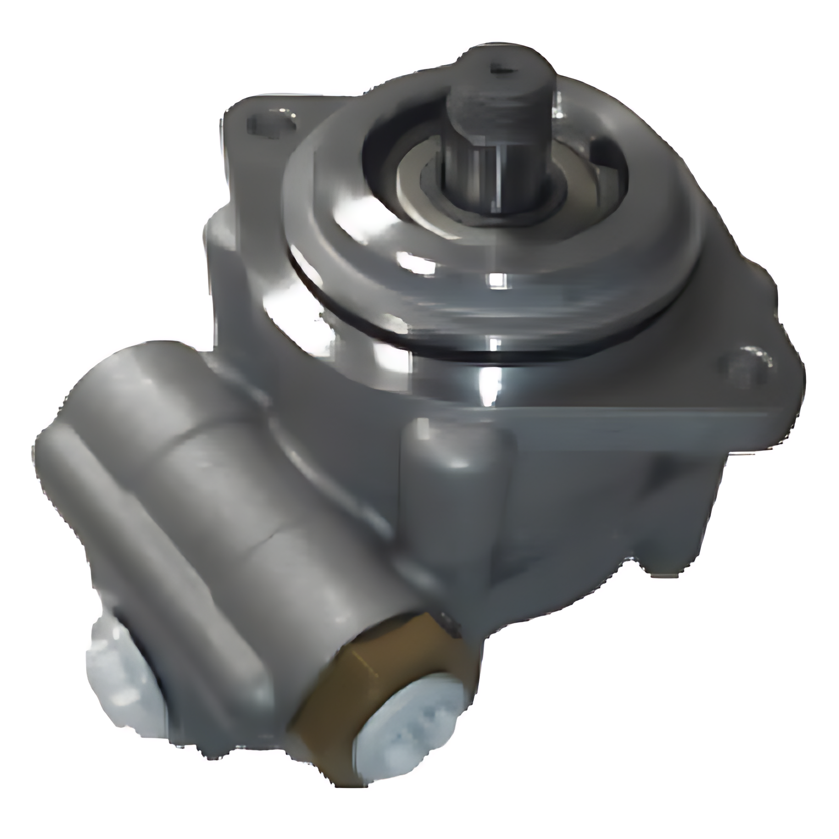 BOMBA DIRECAO HIDRAULICA - 100000324850