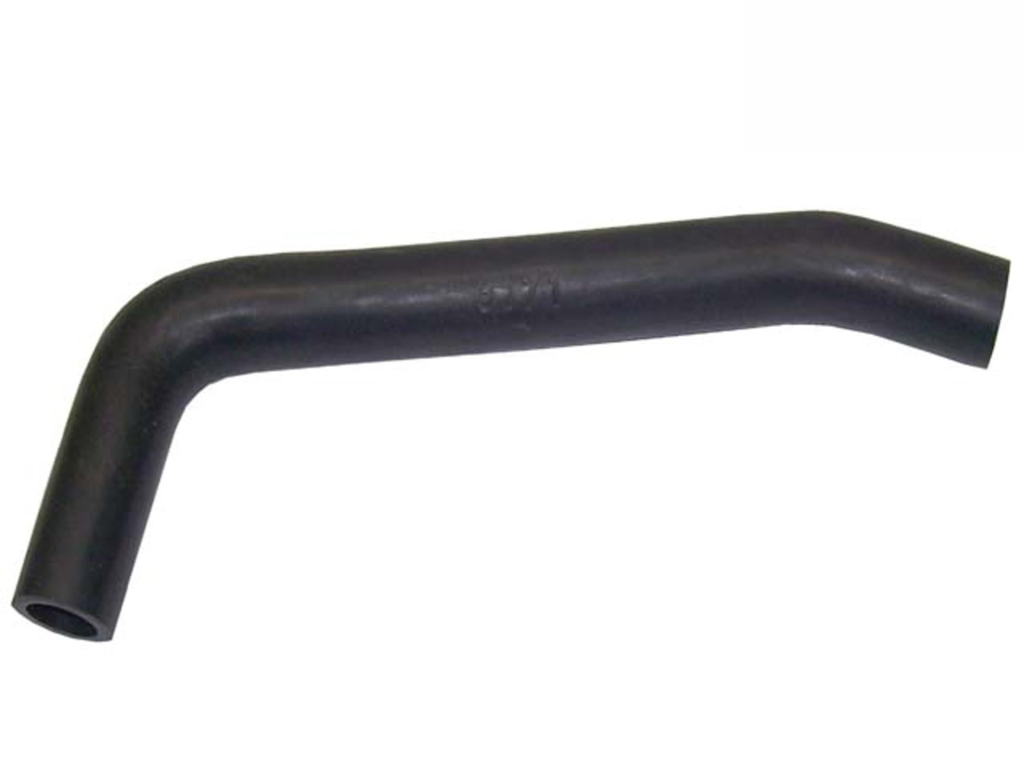 MANGUEIRA BORRACHA - 180782