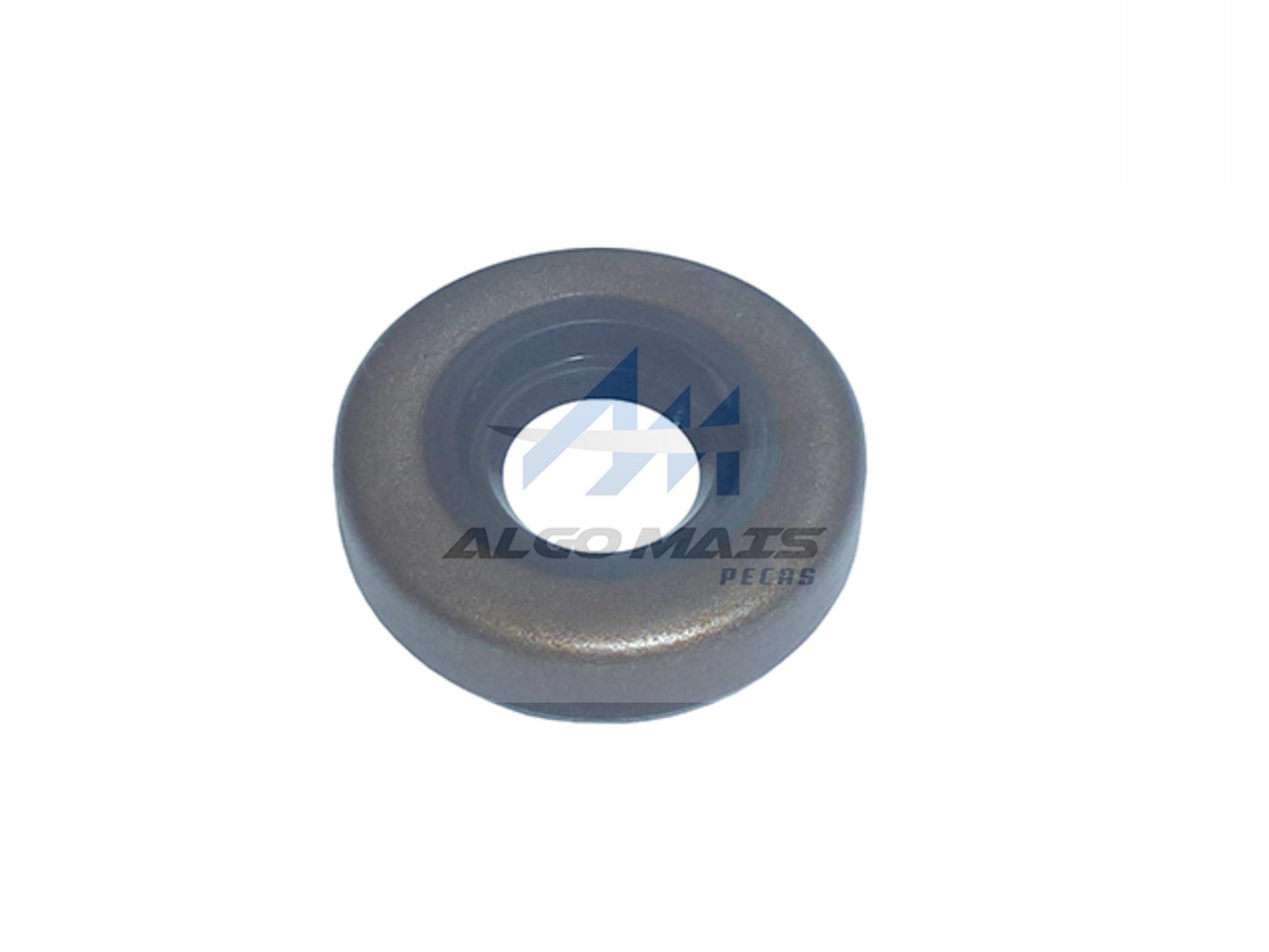 RETENTOR 10X27X6.7MM - 79118