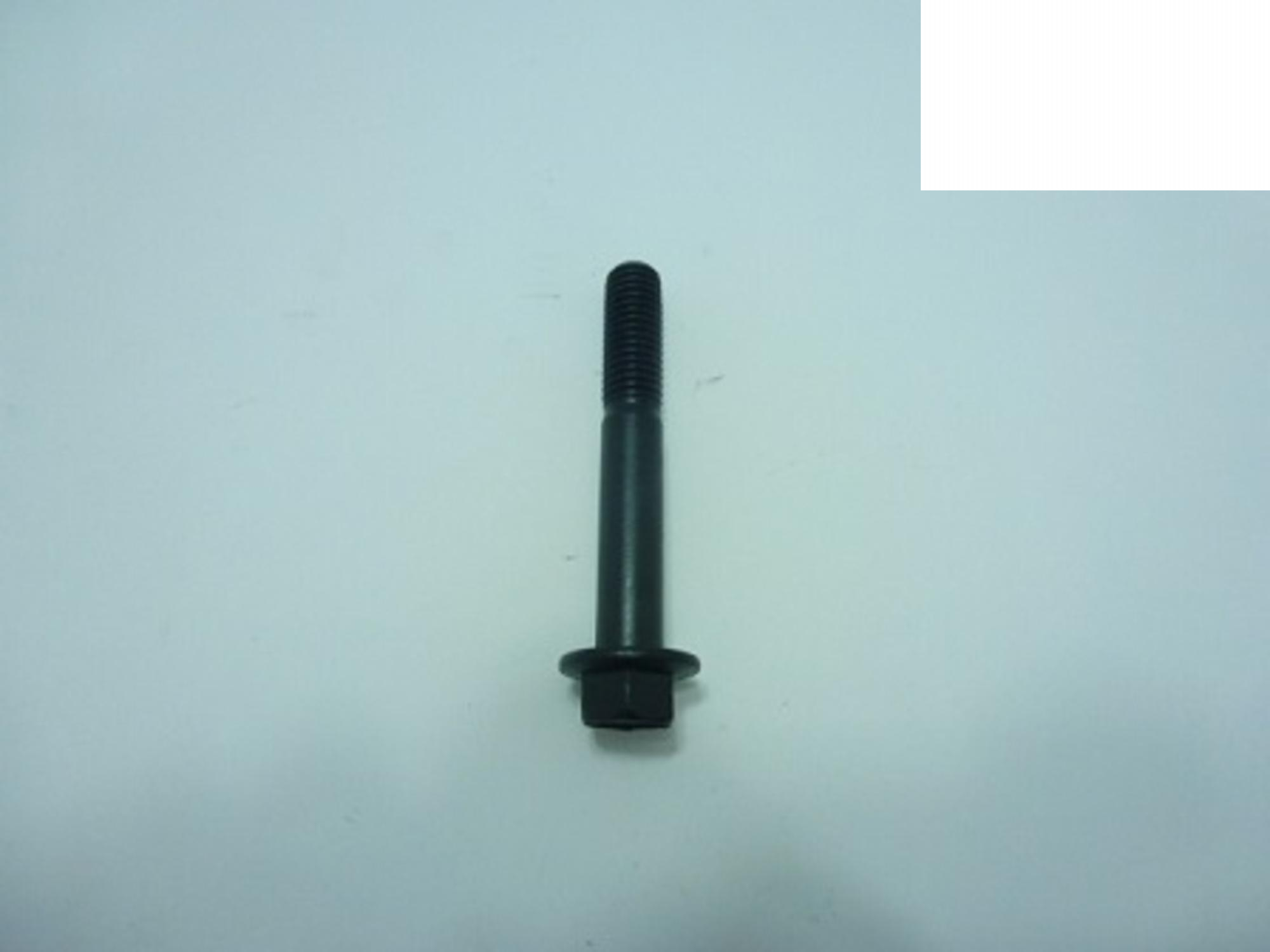 PARAF SEXT.COLETOR ESCAPE M10X65X1,5 8.8 - 2TD129593