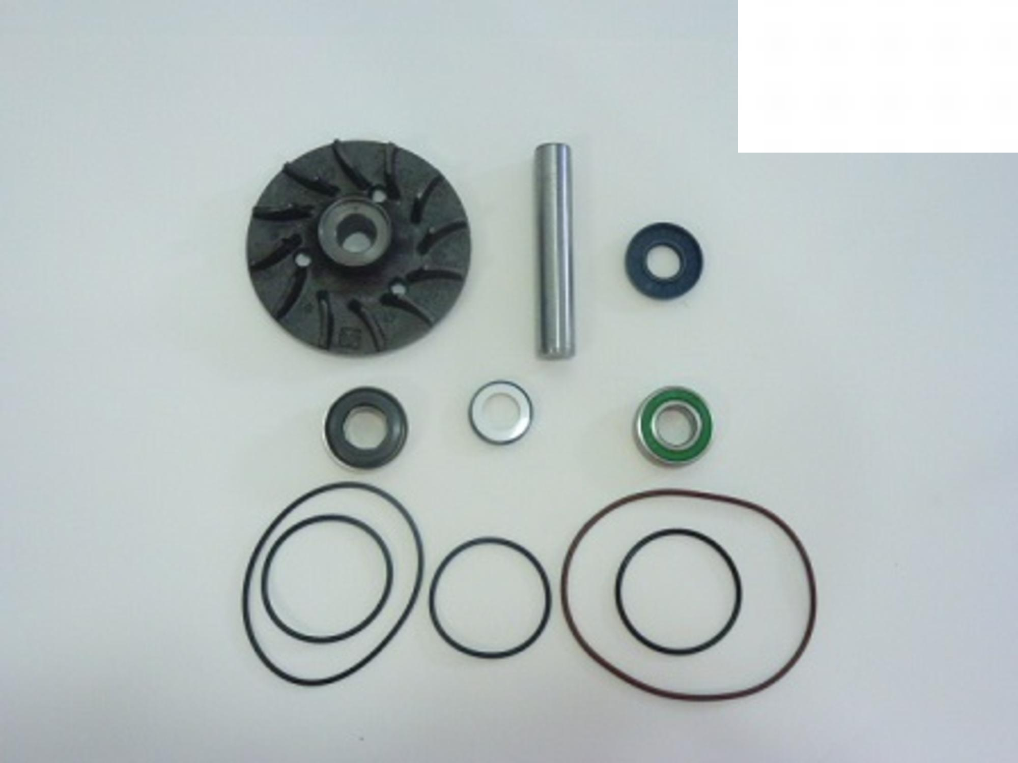 REPARO BOMBA D.AGUA/COMPLETO(PINO GROSSO - 276814