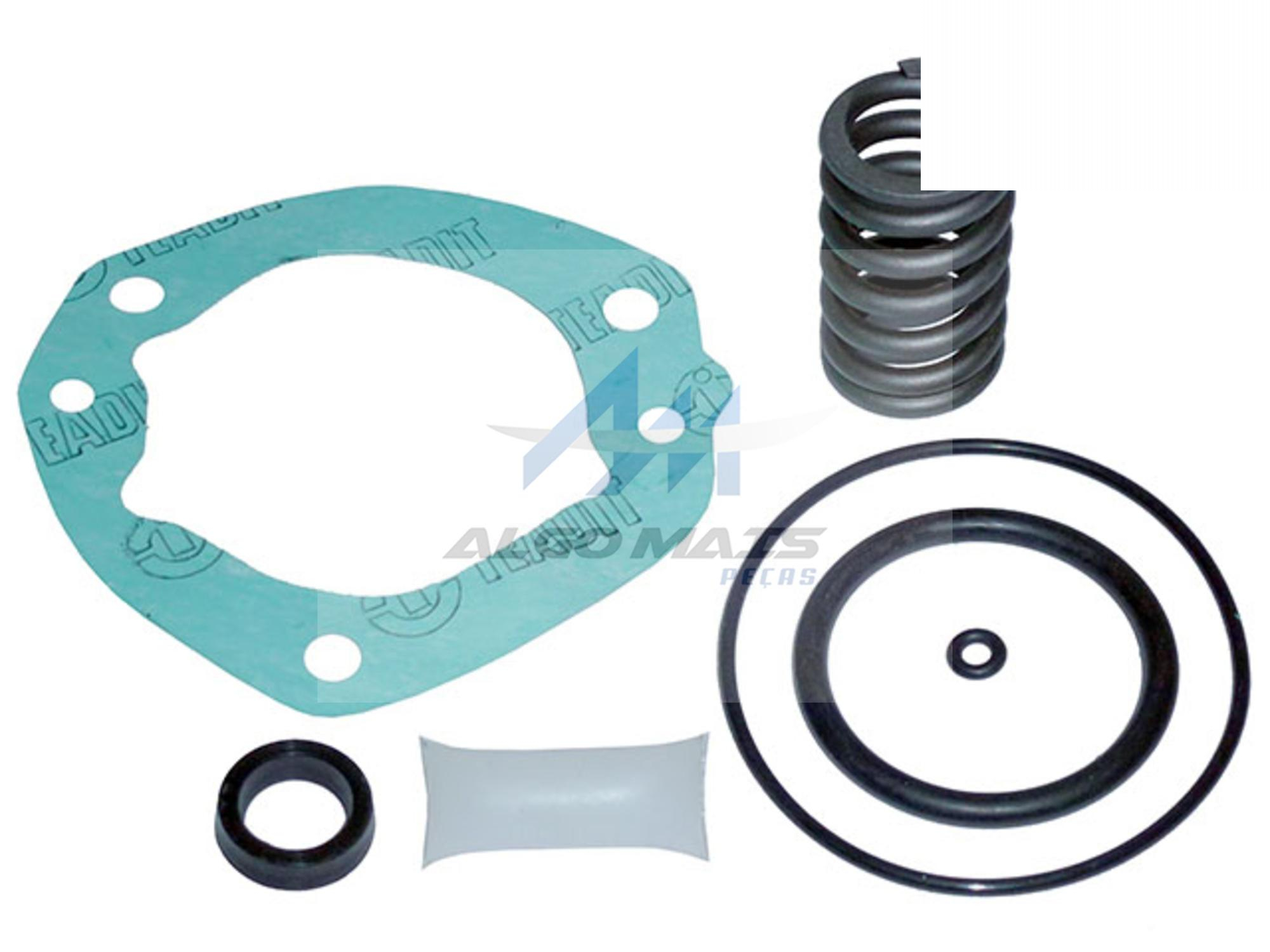 REPARO CILINDRO ACIONAMENTO REDUZIDA - 317916