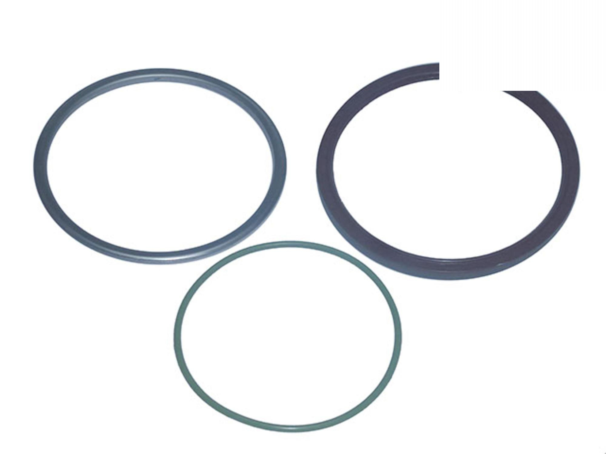 KIT RETENTOR CUBO TRASEIRO - 21036055