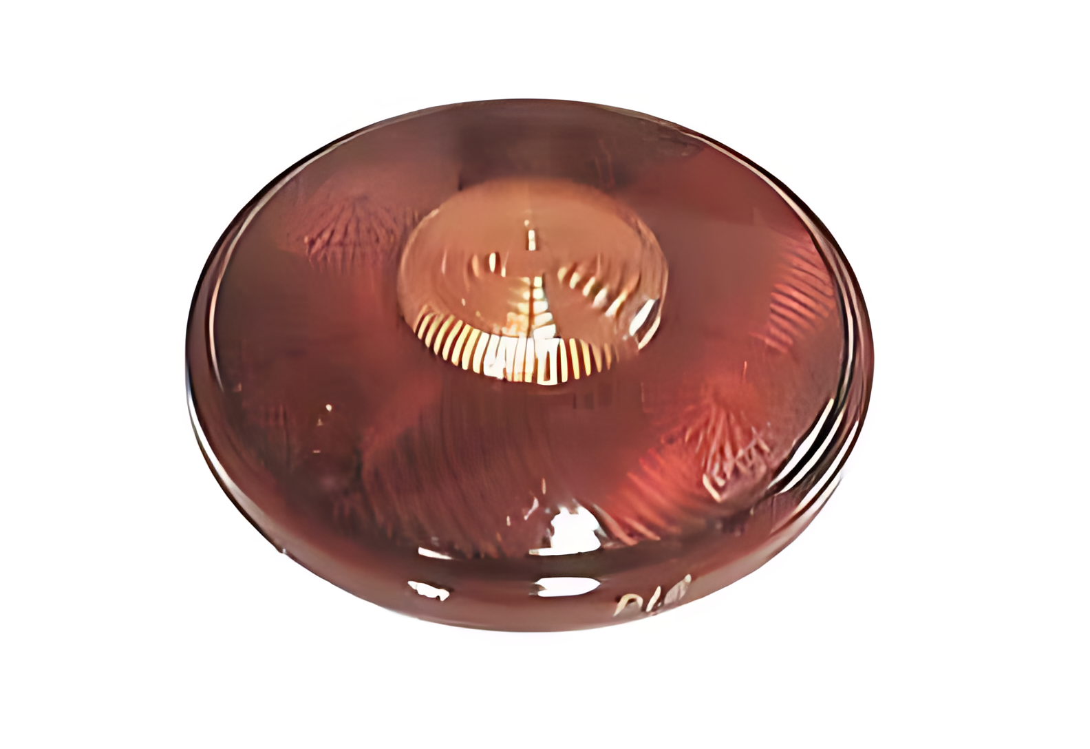 LENTE LANTERNA TRASEIRA ANTIGA REDONDA - OVO FRITO - 0445440089