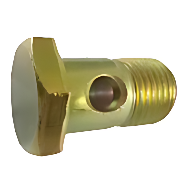 PARAFUSO BANJO VAZADO 2 FUROS - 915036012101