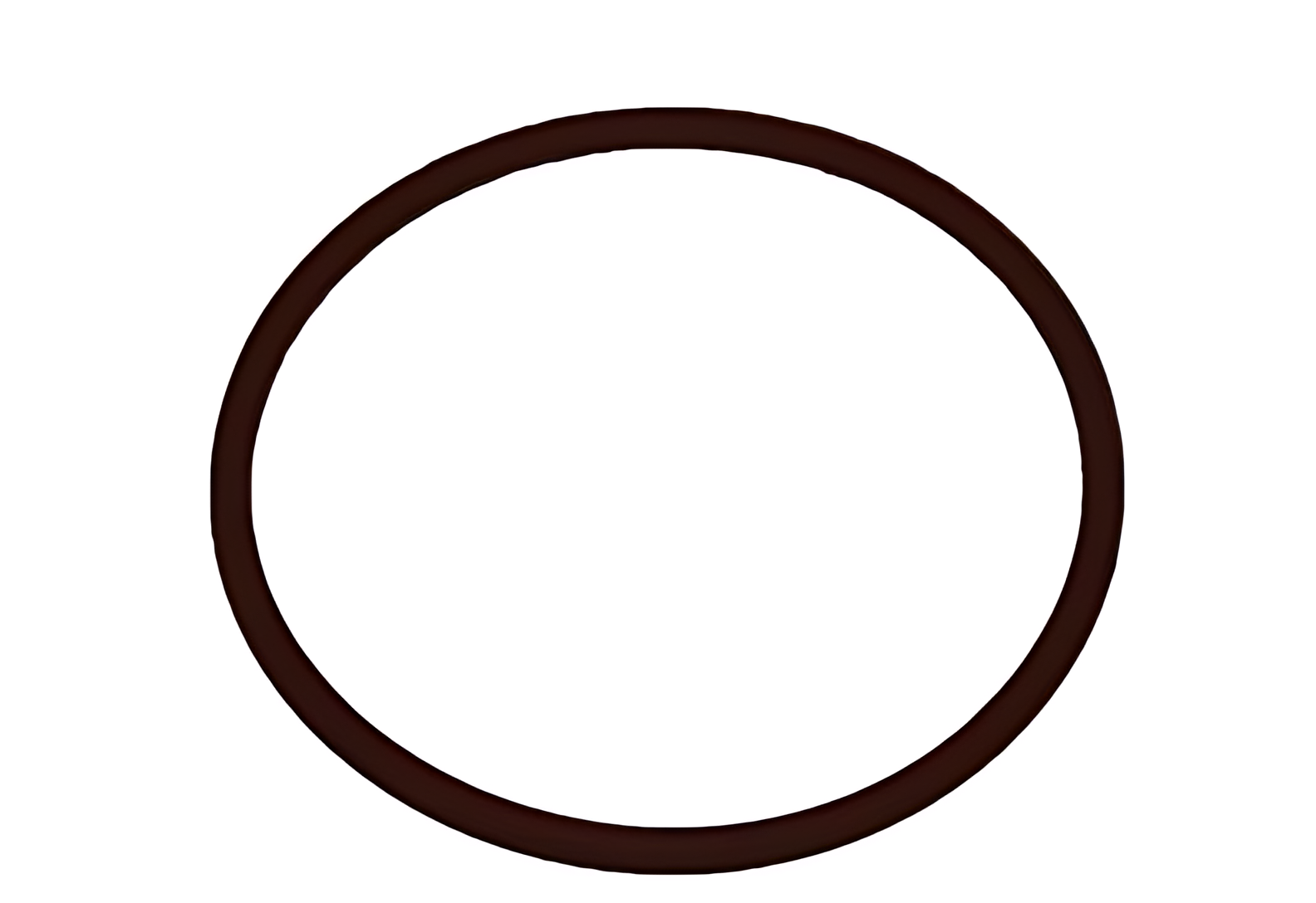 ANEL VEDACAO CONECTOR TURBO AO INTERCOOL - 2S0145187