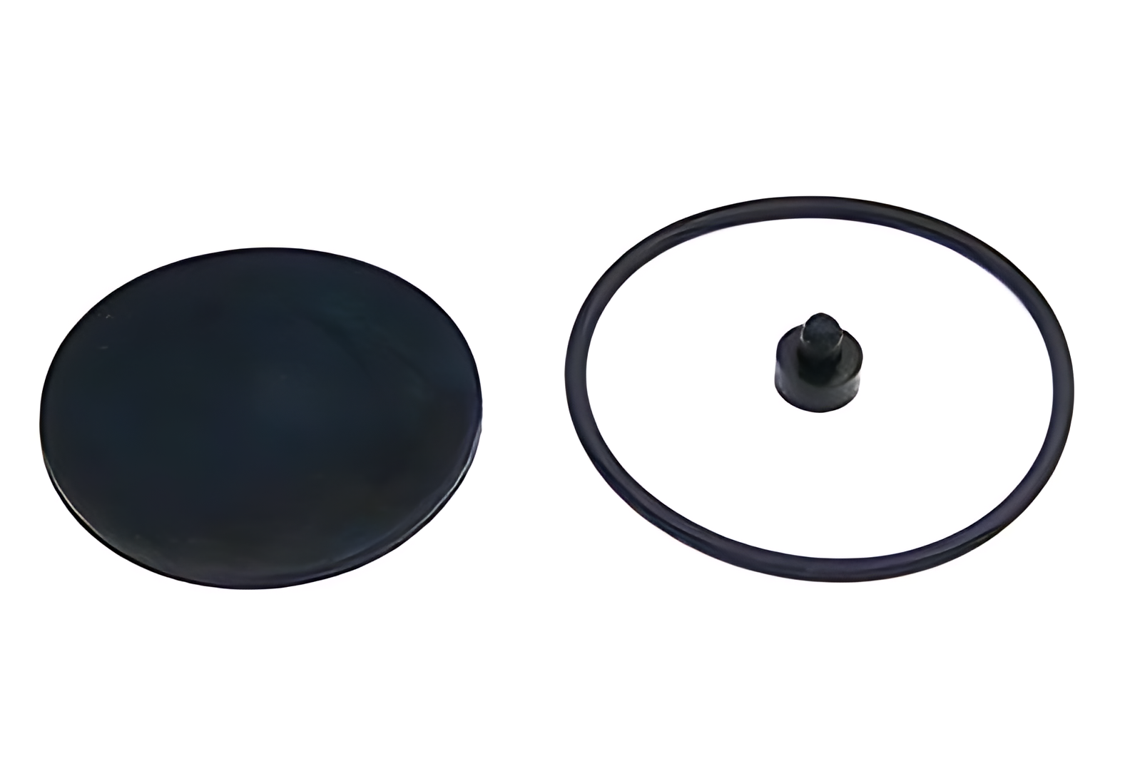 REPARO VALVULA DE DESCARGA RAPIDA - 2RL698425