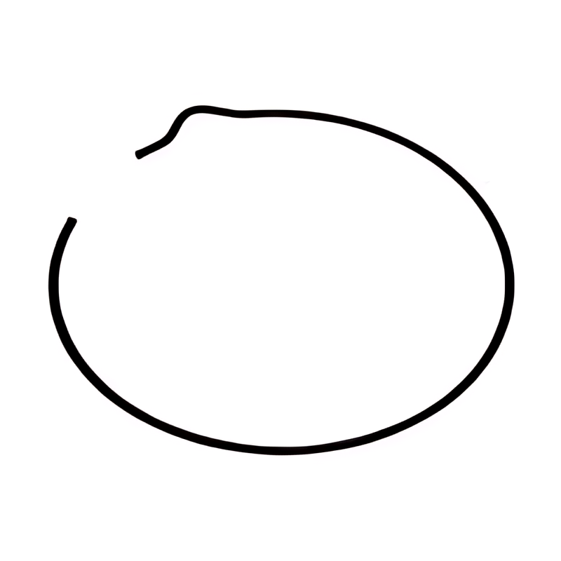 ANEL TRAVA ROLAMENTO PINHAO  MAIOR - 3229940137