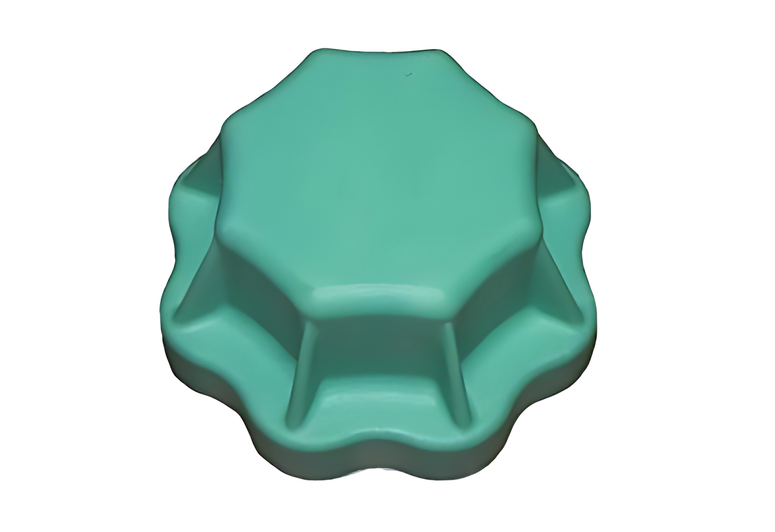 TAMPA RESERVATORIO RADIADOR - 0005016415