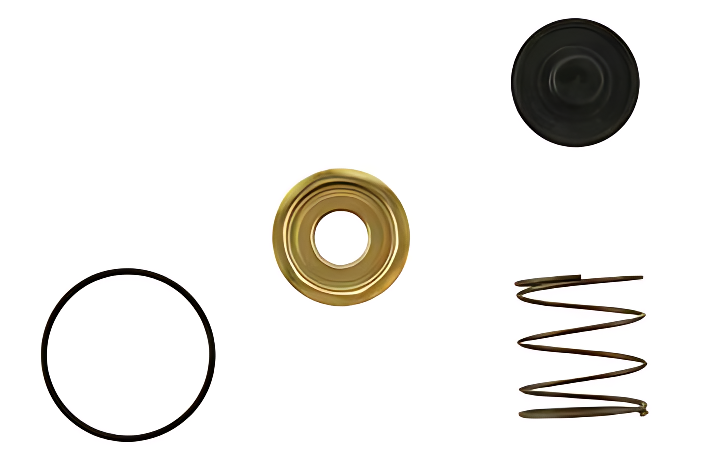 JG.REP.VALVULA DESCARGA - 04143880