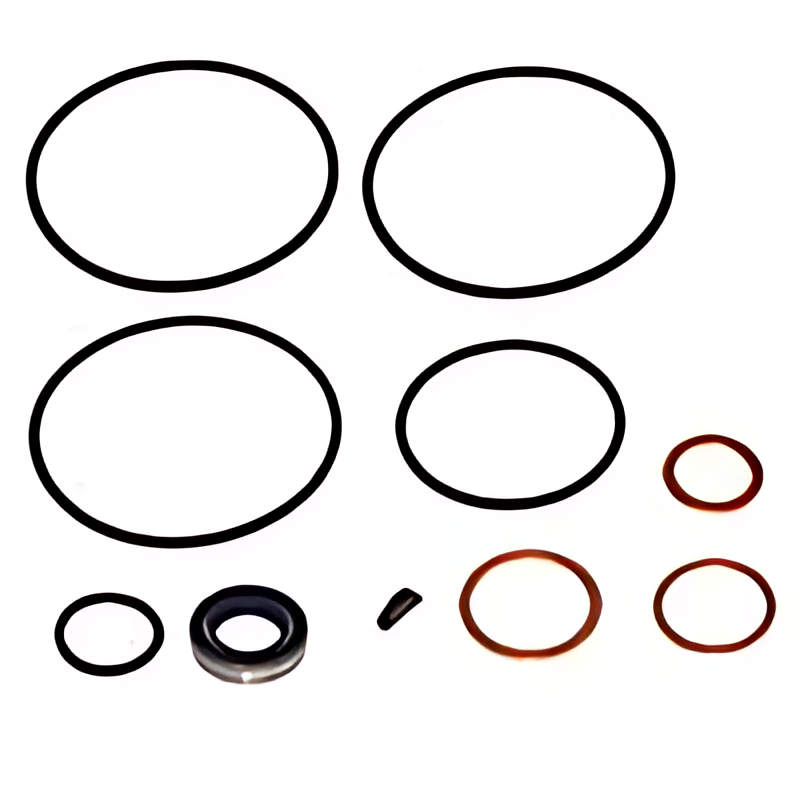 REPARO BOMBA HIDRAULICA - 0005869246