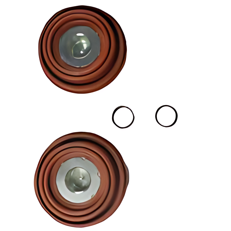 REPARO SAPATA KNORR COM FOLE - 0004202382