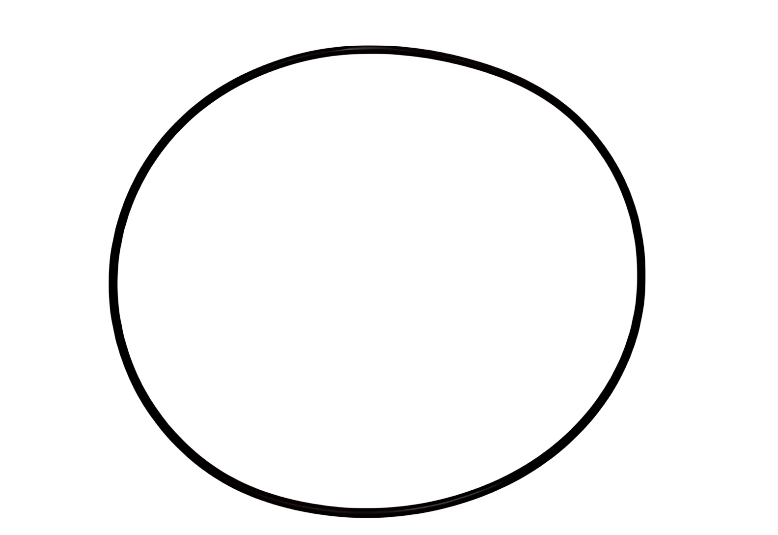 ANEL VEDACAO DO MODULO DE COMANDO - 2S2130139