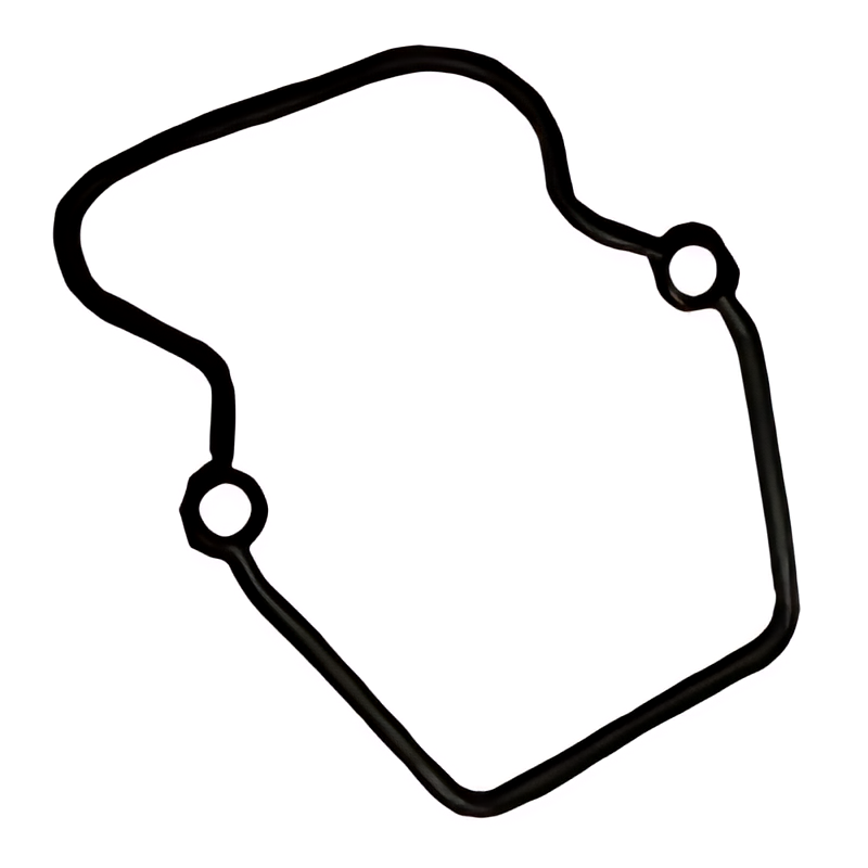 JUNTA TAMPA VALVULAS PLASTICA (BORRACHA) - 4570160221