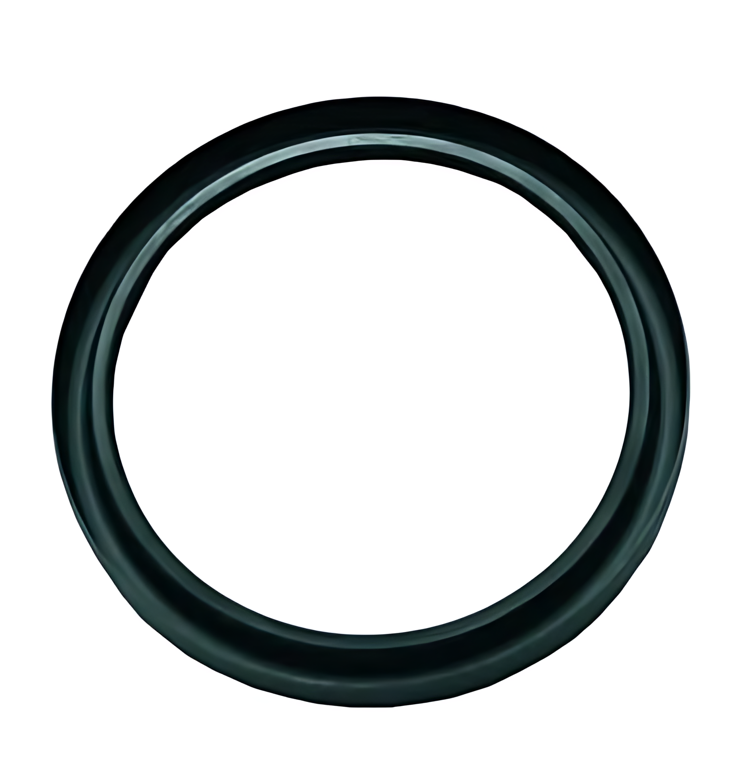 RETENTOR CUBO RODA (EXTERNO) TRASEIRO - 0169975647