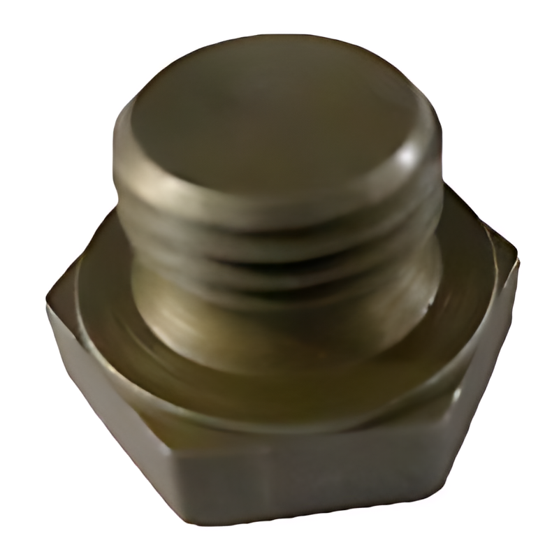 BUJAO RADIADOR DE OLEO M10X1,0 MM - 007604010100