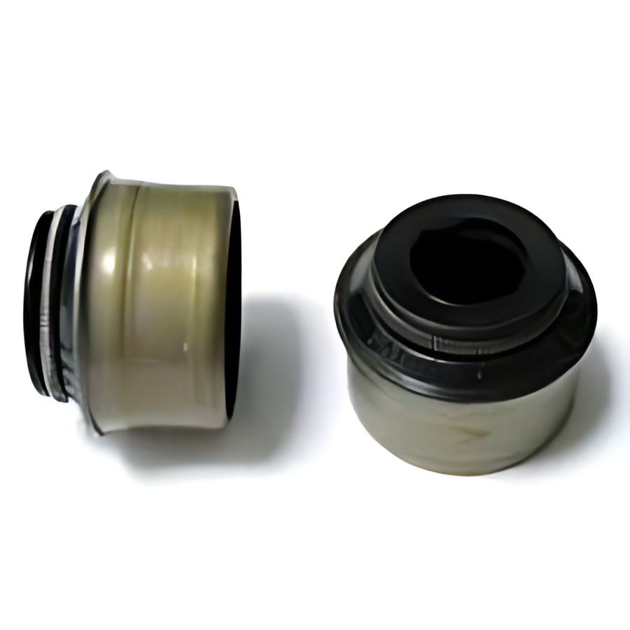 RETENTOR DE VALVULA - 062109675