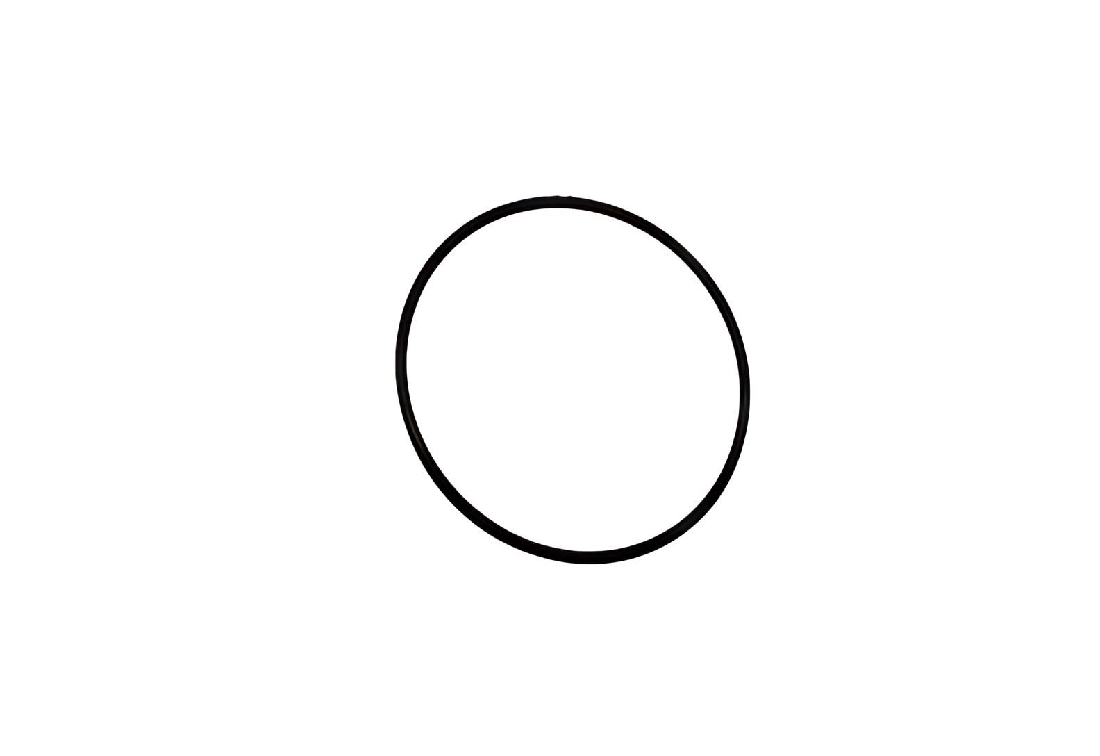 ANEL VEDACAO BOMBA AGUA - BG6X6734GA