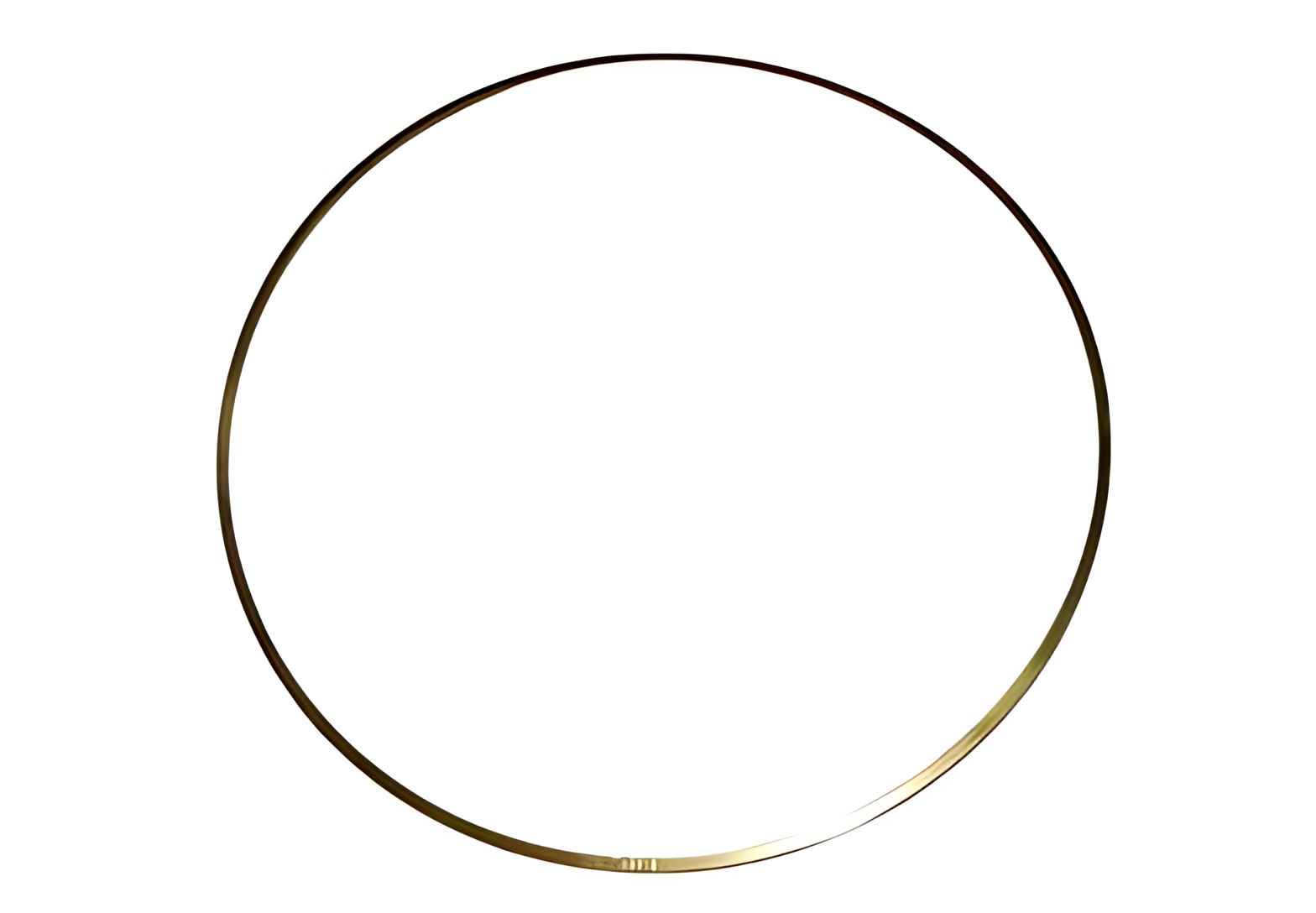 ANEL DE VEDA�AO MOTOR MWM - 2U2103548G