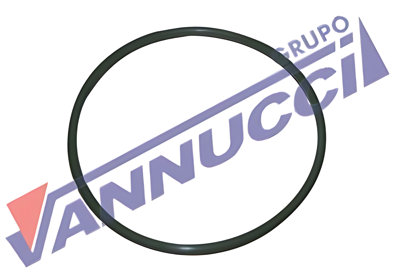 ANEL VEDACAO CAMISA MOTOR - 4579971145