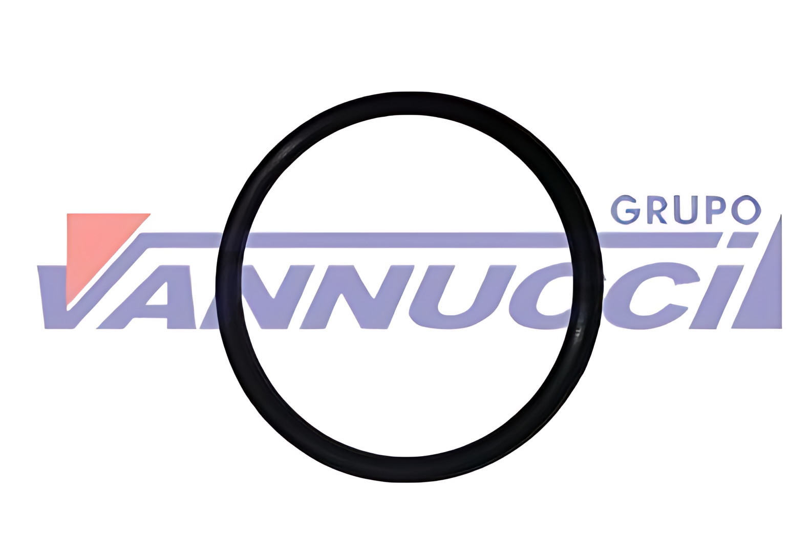 ANEL DE VEDACAO TAMPA VALVULA TOP BRAKE - 9069971145