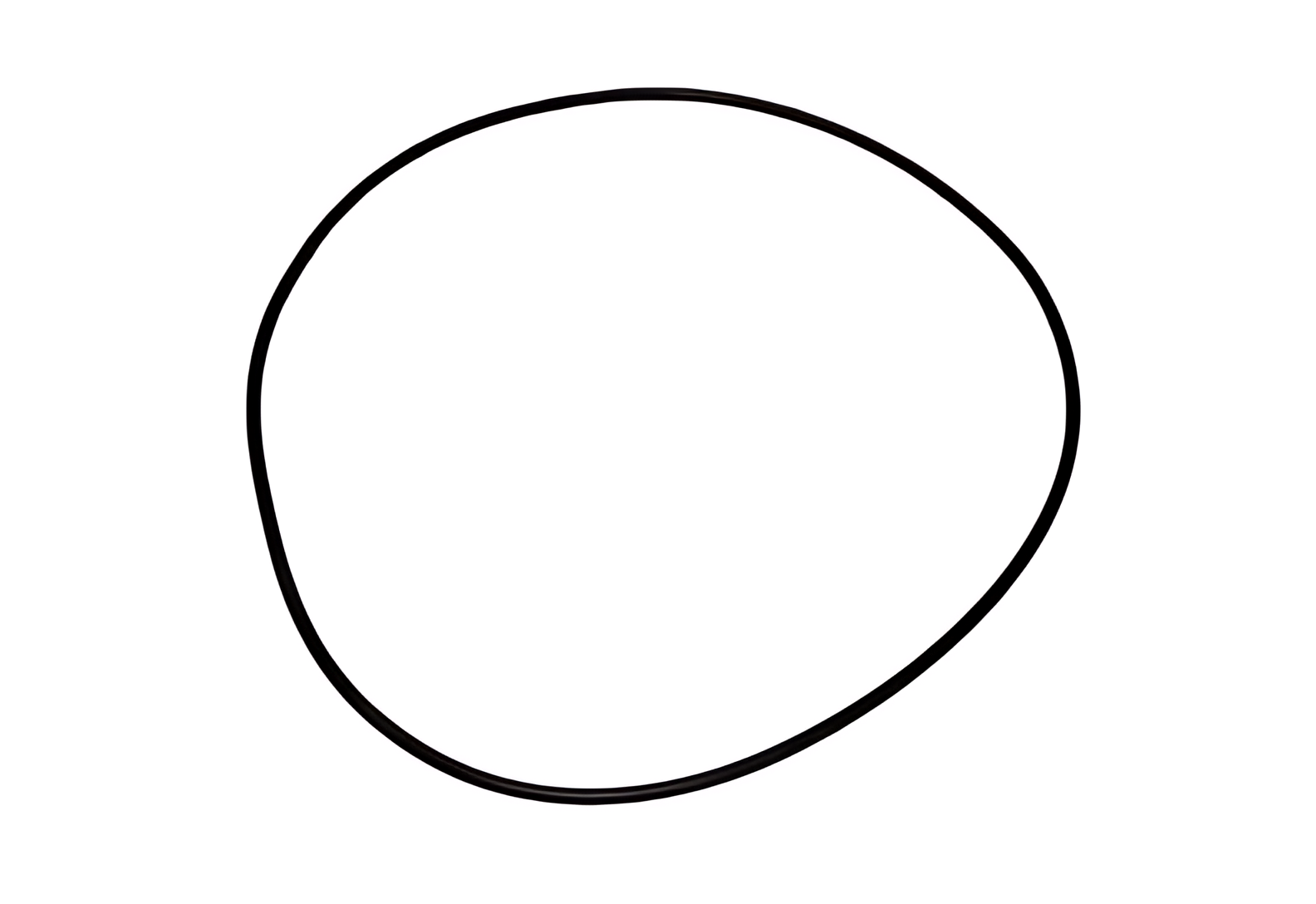 ANEL ORING DIFERENCIAL - TAK525419