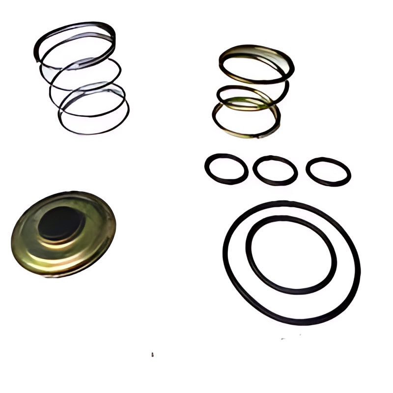 REPARO VALVULA CONJUGADA - RP090008