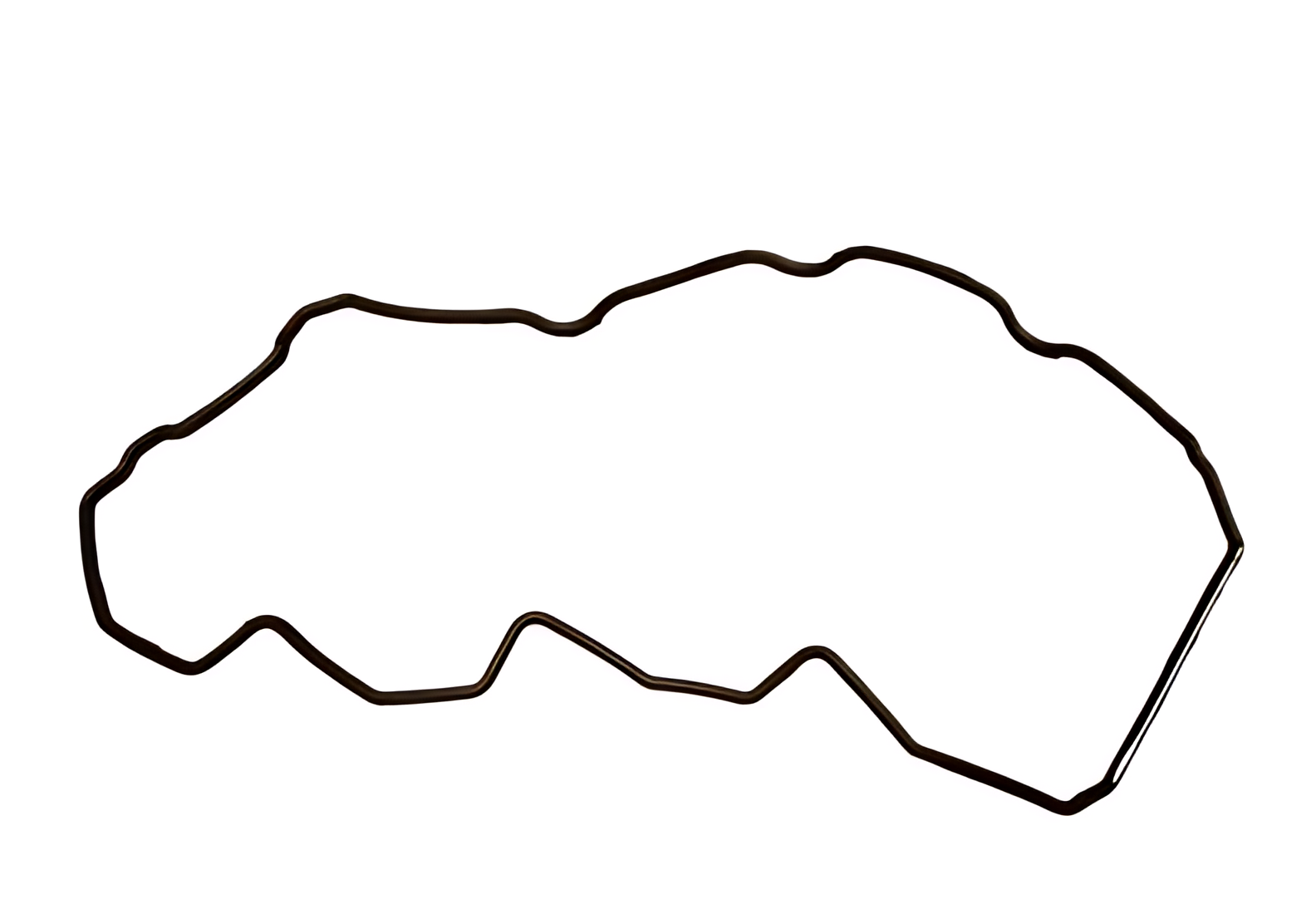 JUNTA TAMPA VALVULAS - 504070037