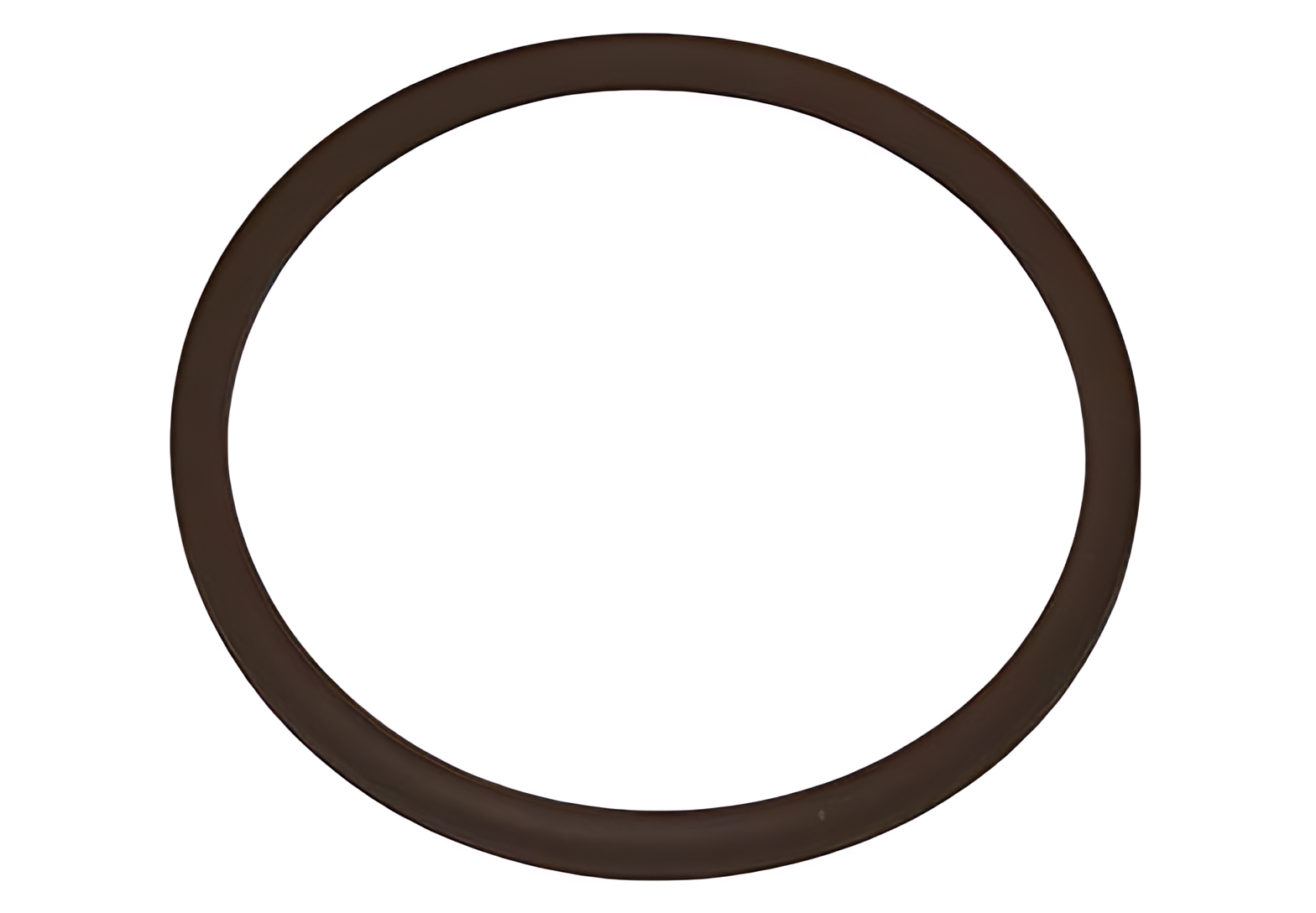 ANEL BOMBA DIRECAO HIDRAULICA - 500324249