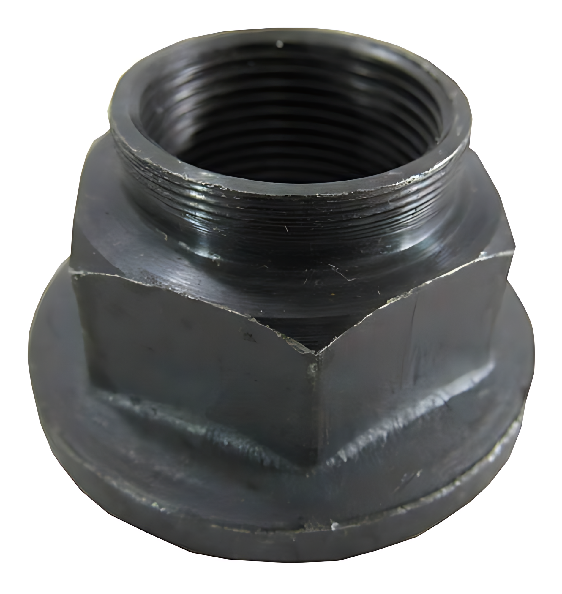 PORCA DO PINH�O - 7162213