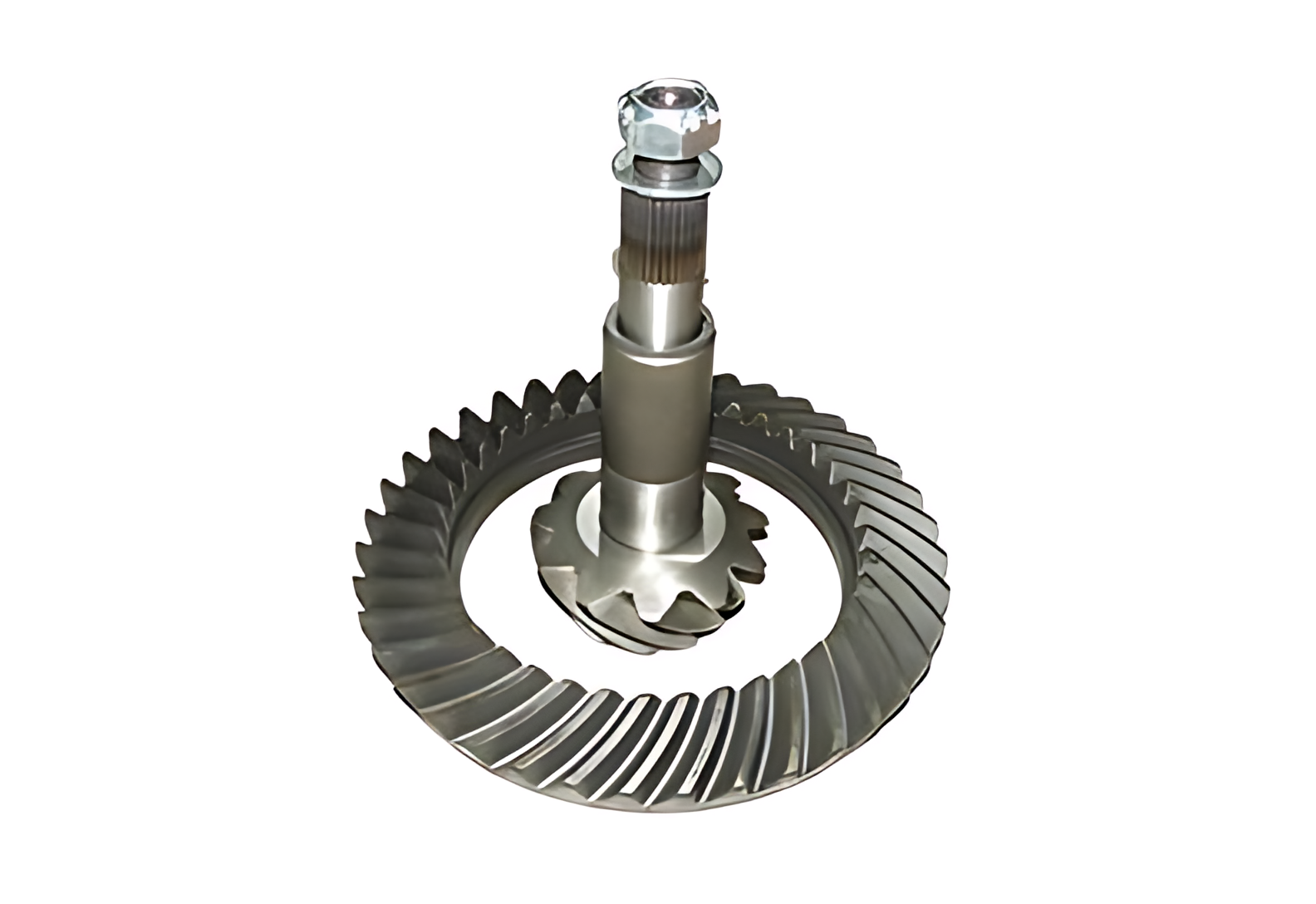 COROA PINHAO 39X11 - 503120335