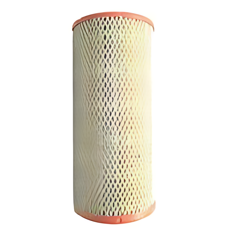 FILTRO AR PRIMARIO - 503120248