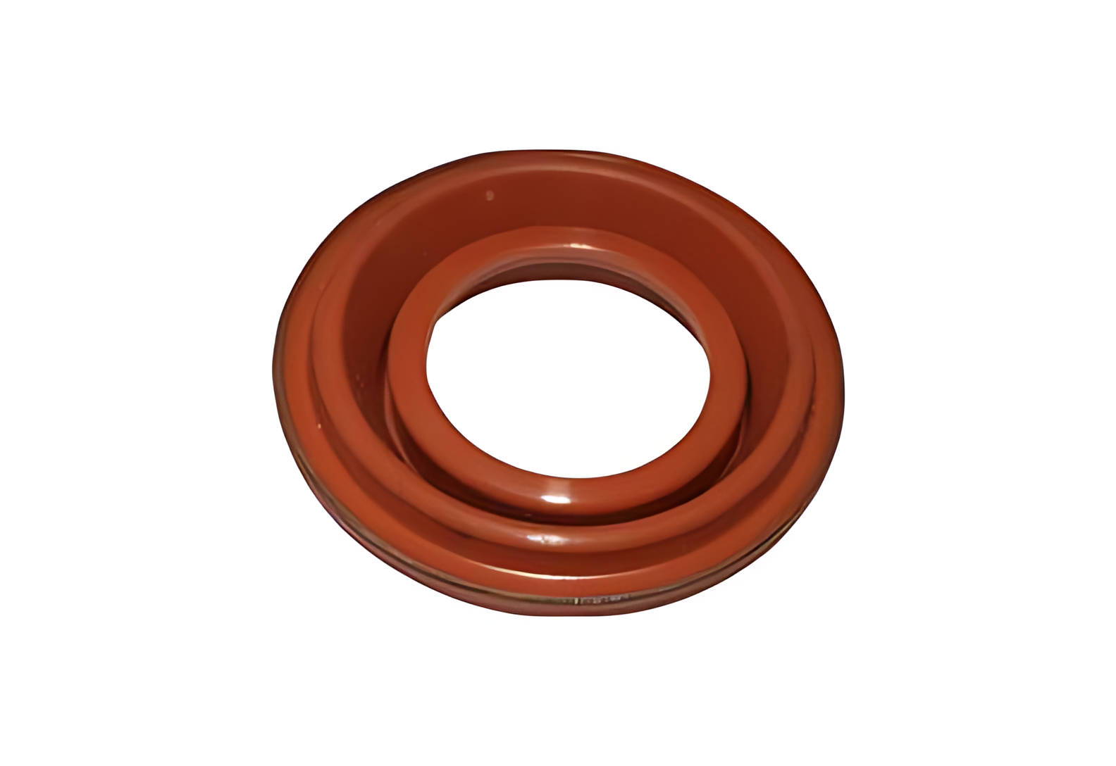 GUARDA PO REGULADOR  FREIO Z-CAM - 3090954