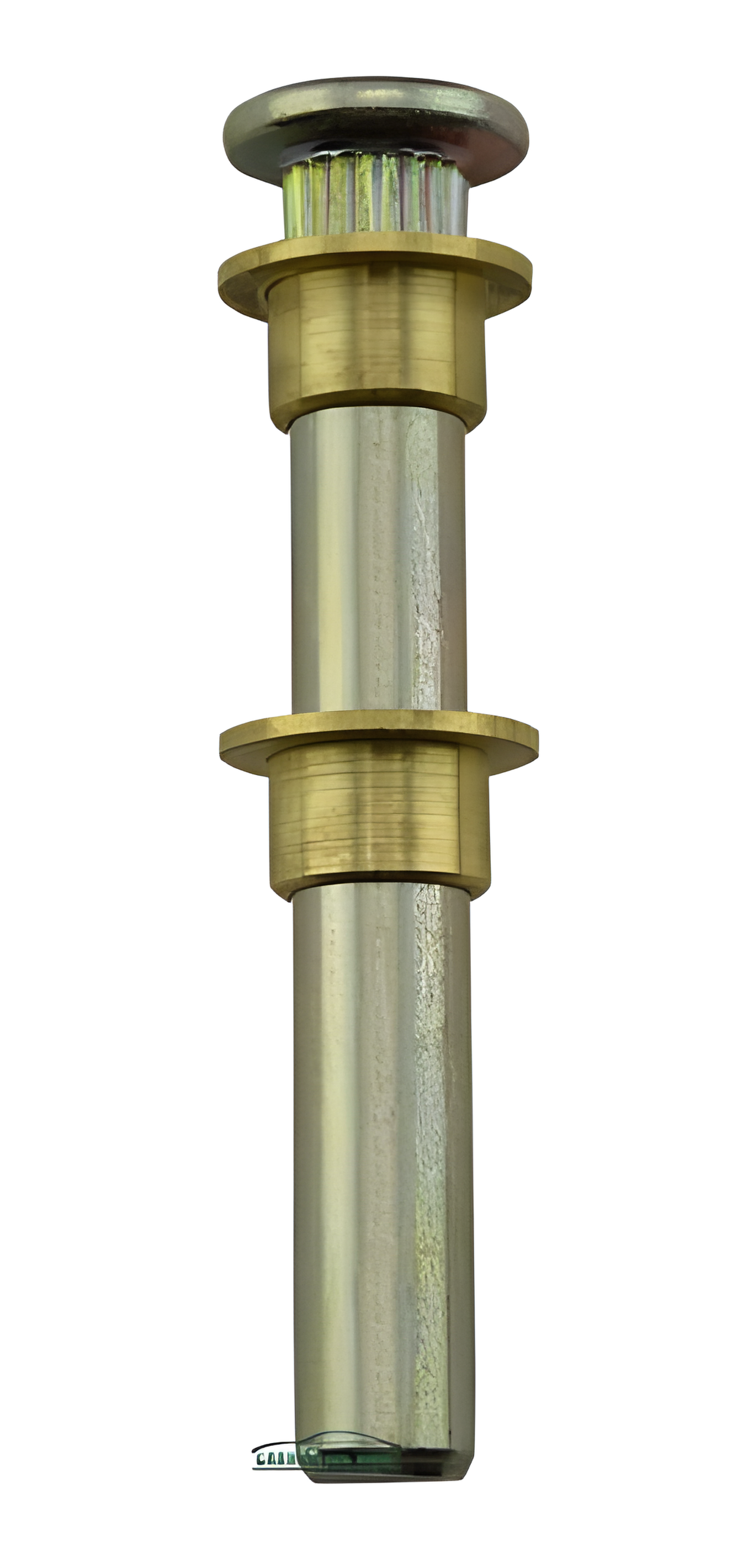 PINO - BUCHA - T11253871