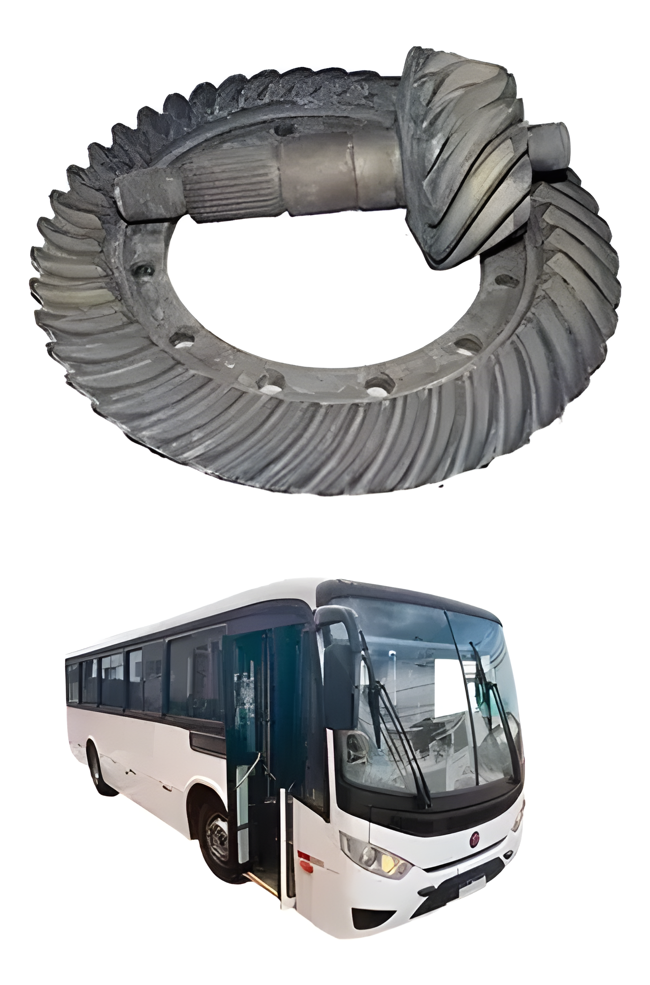 COROA E PINHAO 43X13 RS145 RAT 3,31 - 41494K - Imagem 7