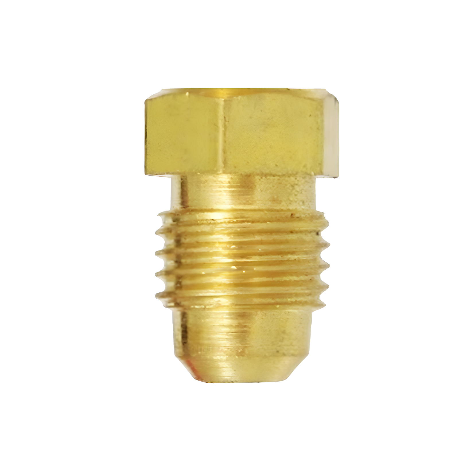 BUJAO - TE3141875 - Imagem 5