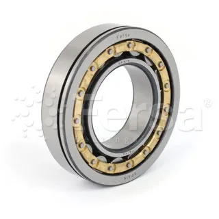 ROLAMENTO EIXO PILOTO CX.CAMBIO F19047/B - 79812501