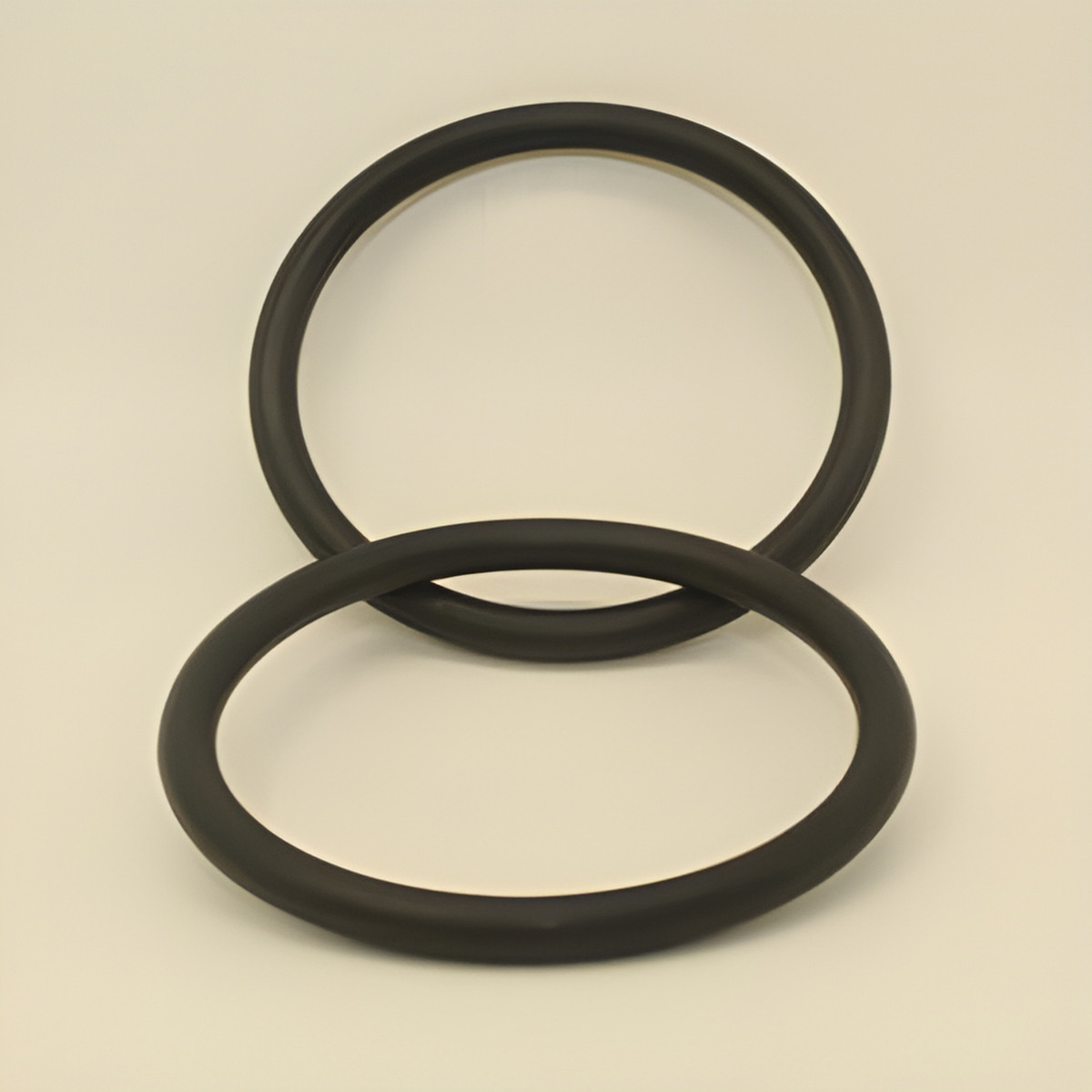 ANEL ORING - 500001039E