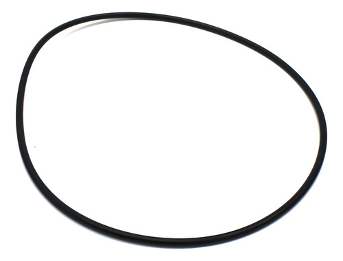 ANEL VEDACAO CARCACA FLANGE TRASEIRA - GW0311