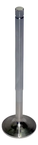 VALVULA ADMISSAO 20 GRAUS P/MOTOR DC12 - 1333230